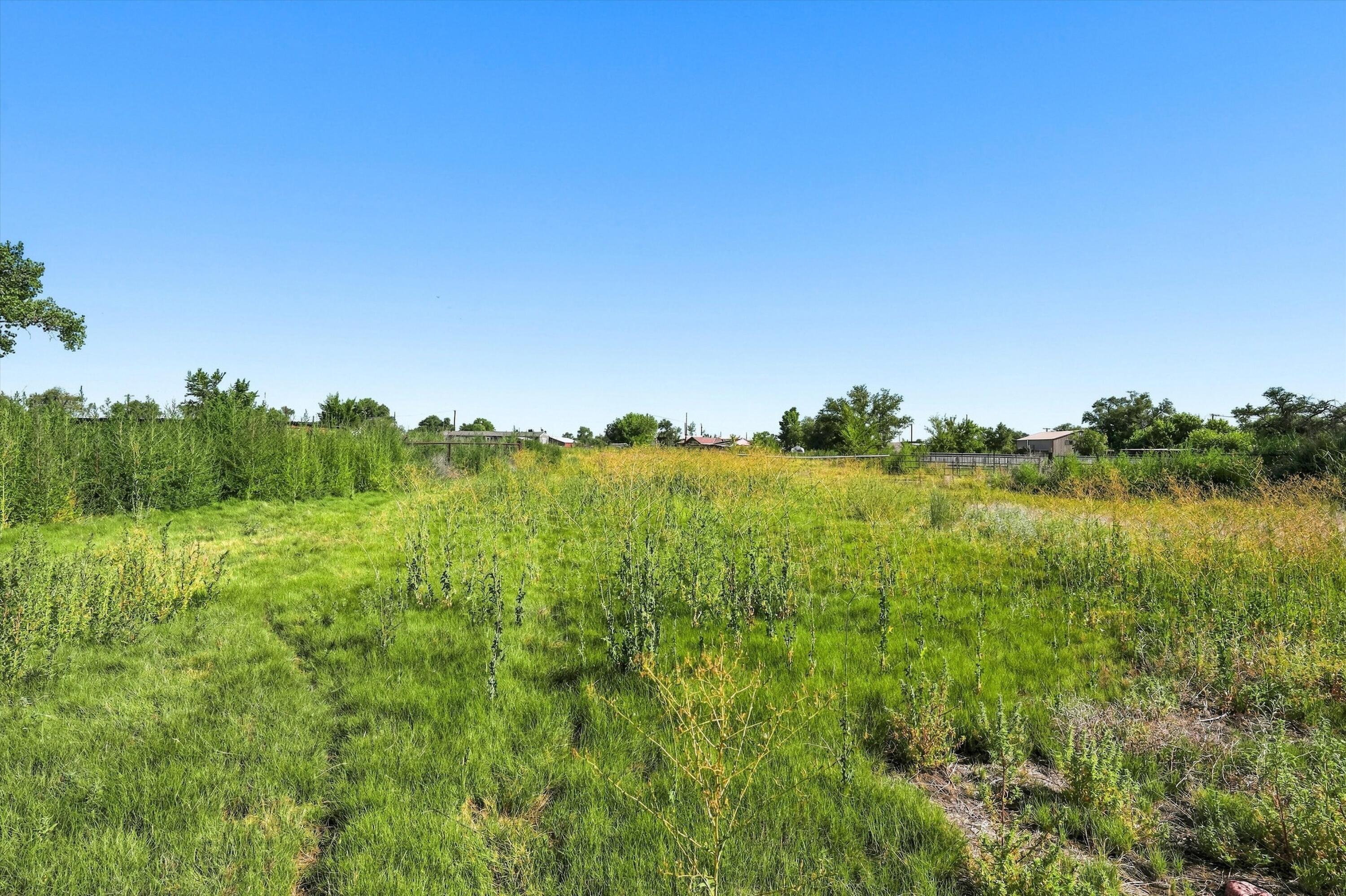 Photo 4 — 67 Mill Road