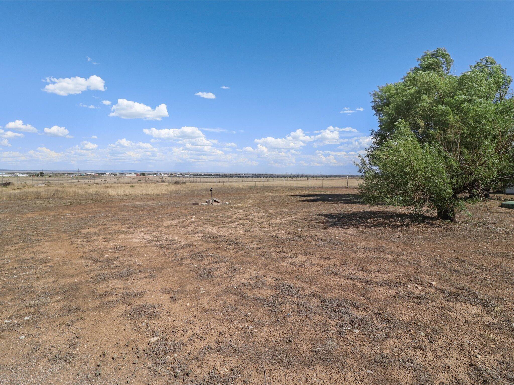 Photo 7 — 24 Griffin Road