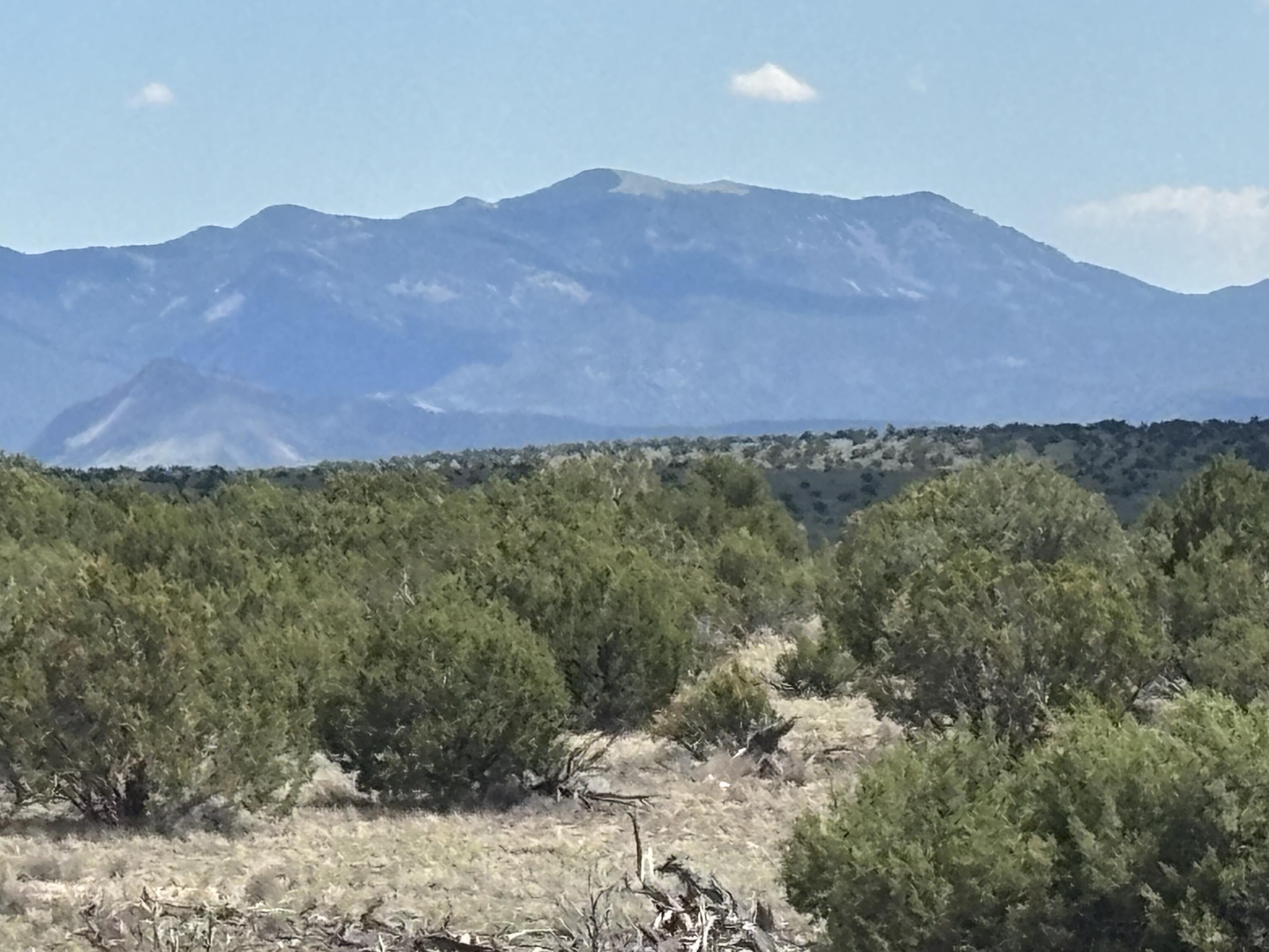  Lot 24 Pinon Springs Road, Magdalena, NM 87825