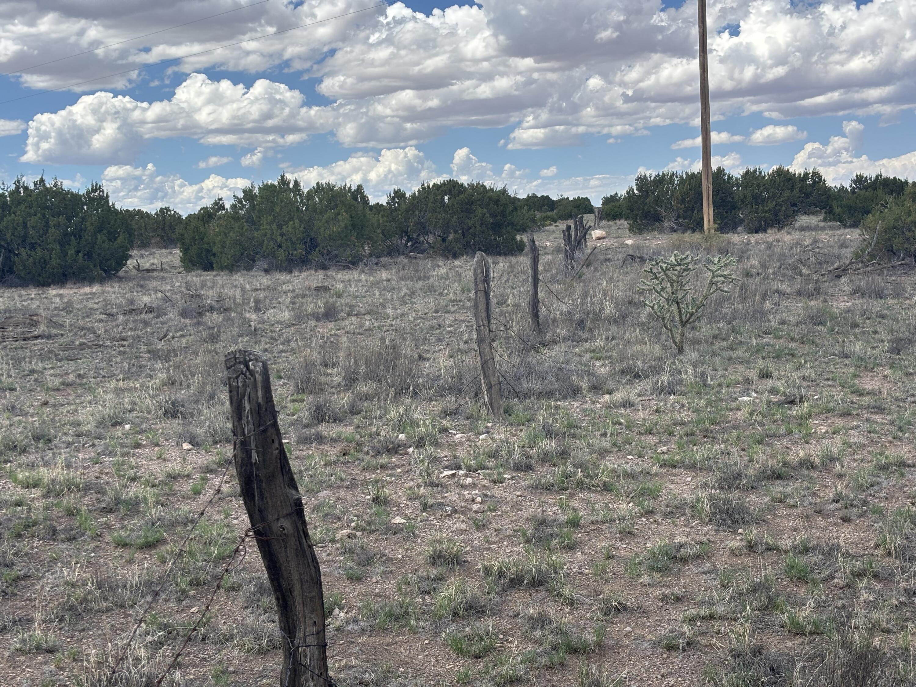 Photo 16 —  Lot 24 Pinon Springs Road
