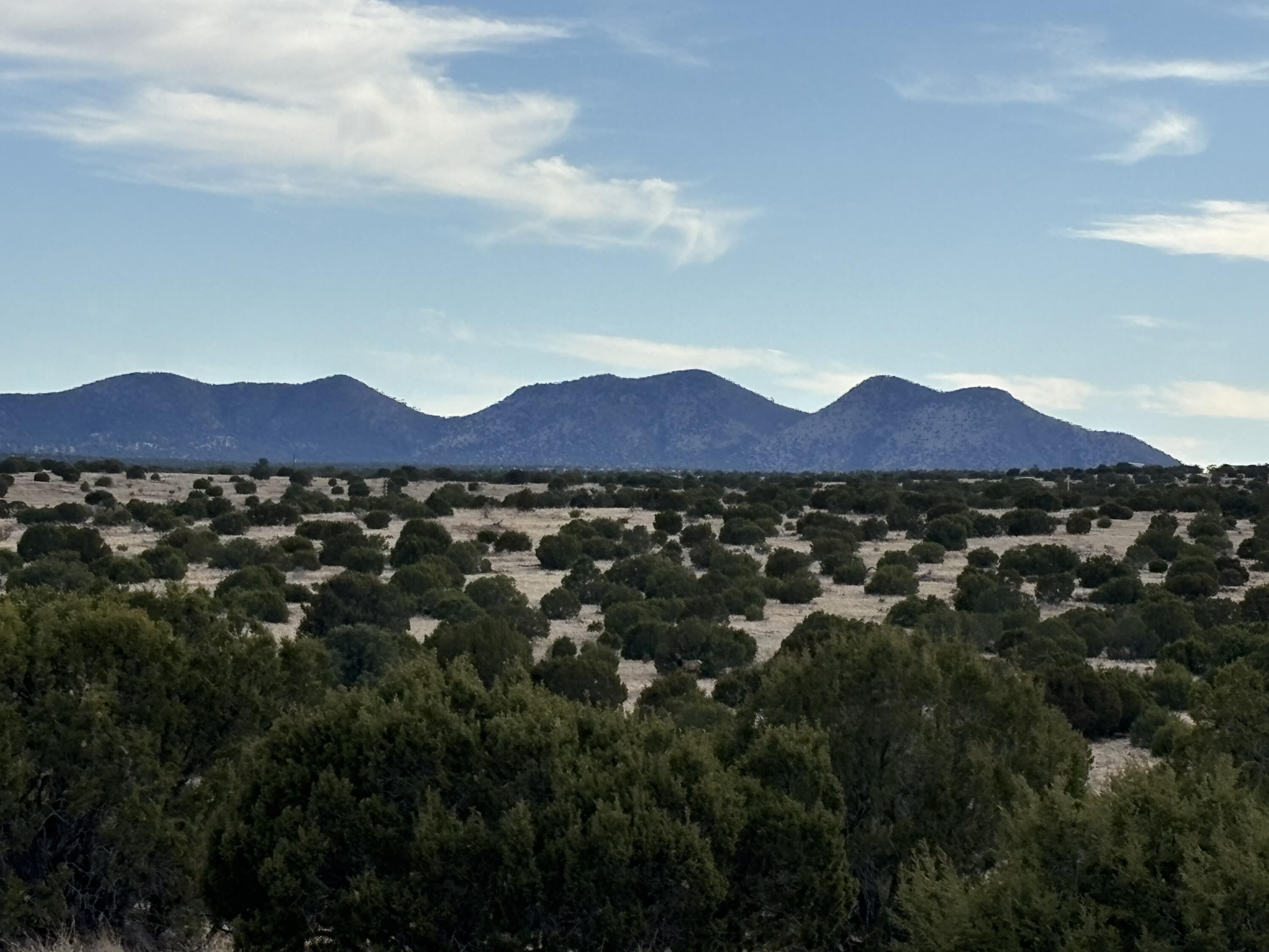 Photo 2 —  Lot 24 Pinon Springs Road
