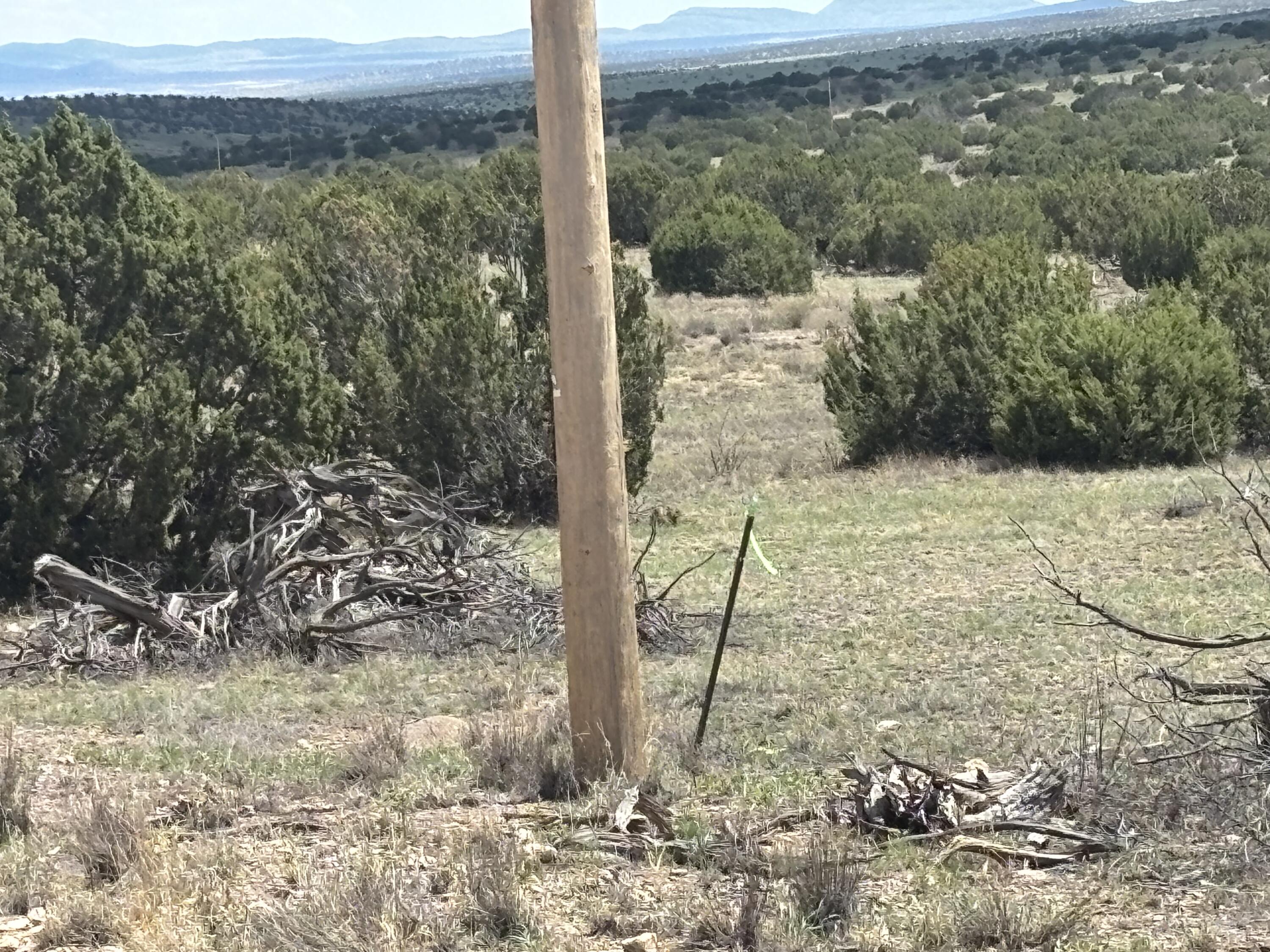 Photo 3 —  Lot 24 Pinon Springs Road