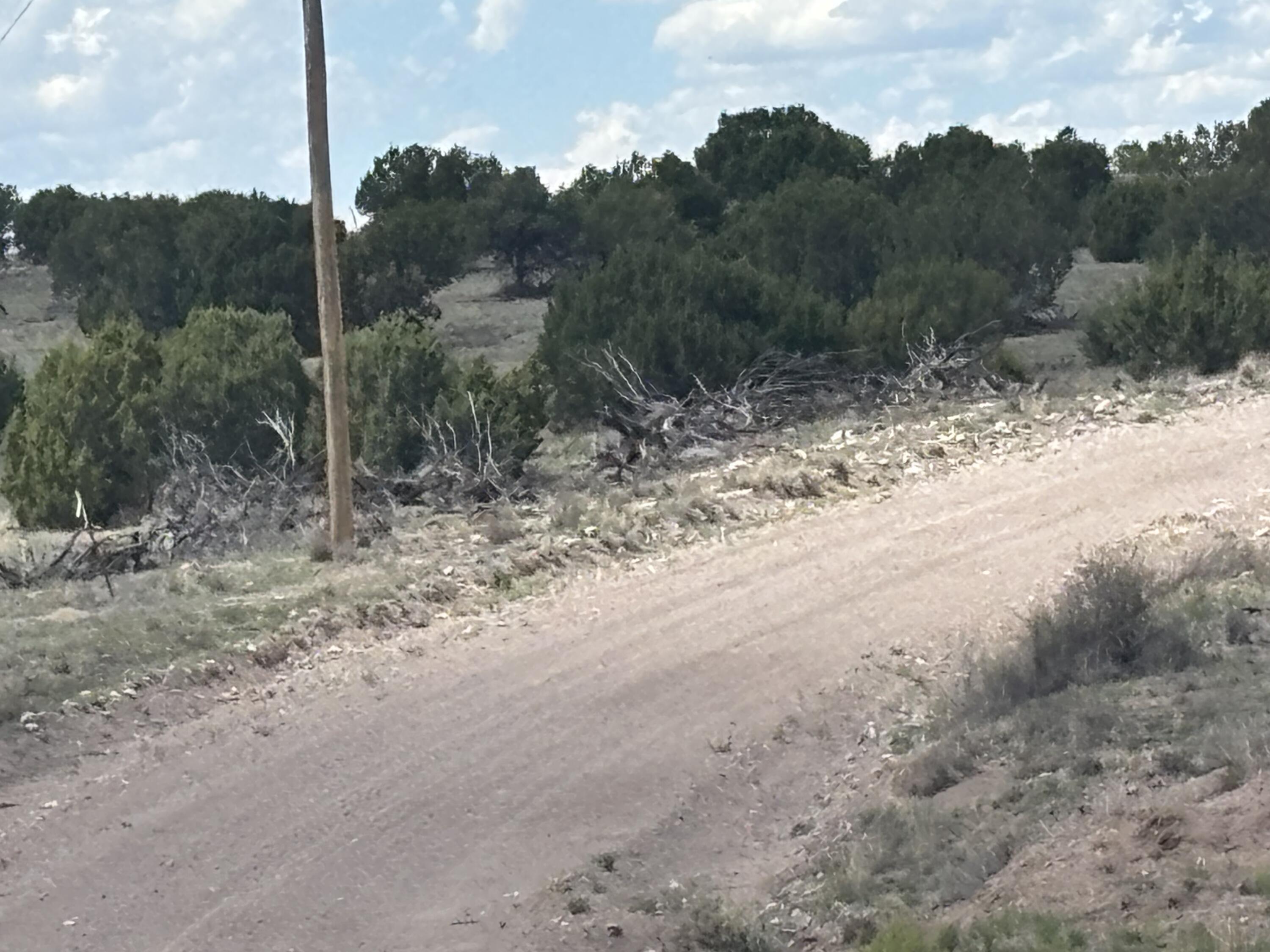 Photo 4 —  Lot 24 Pinon Springs Road