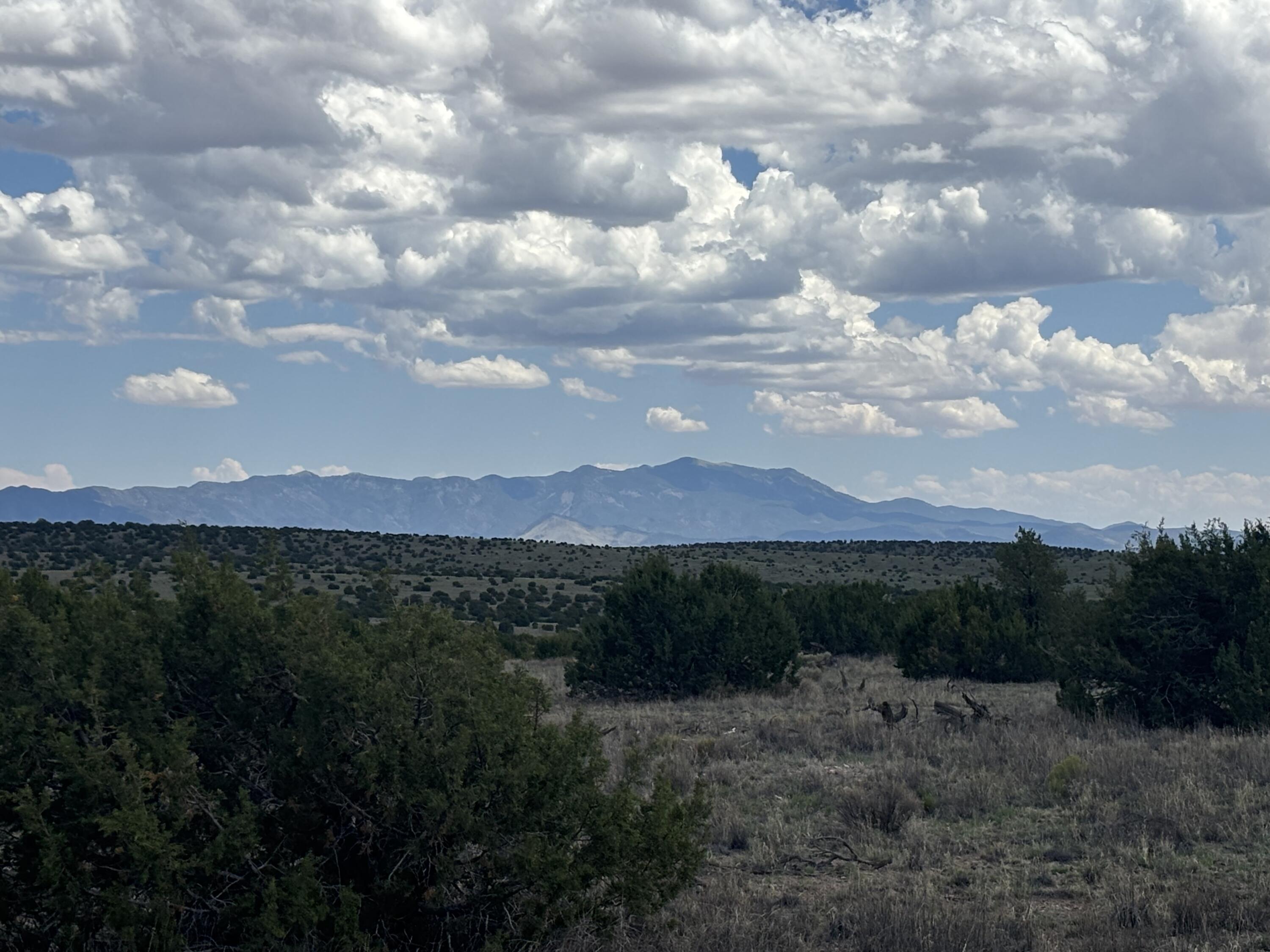 Photo 7 —  Lot 24 Pinon Springs Road