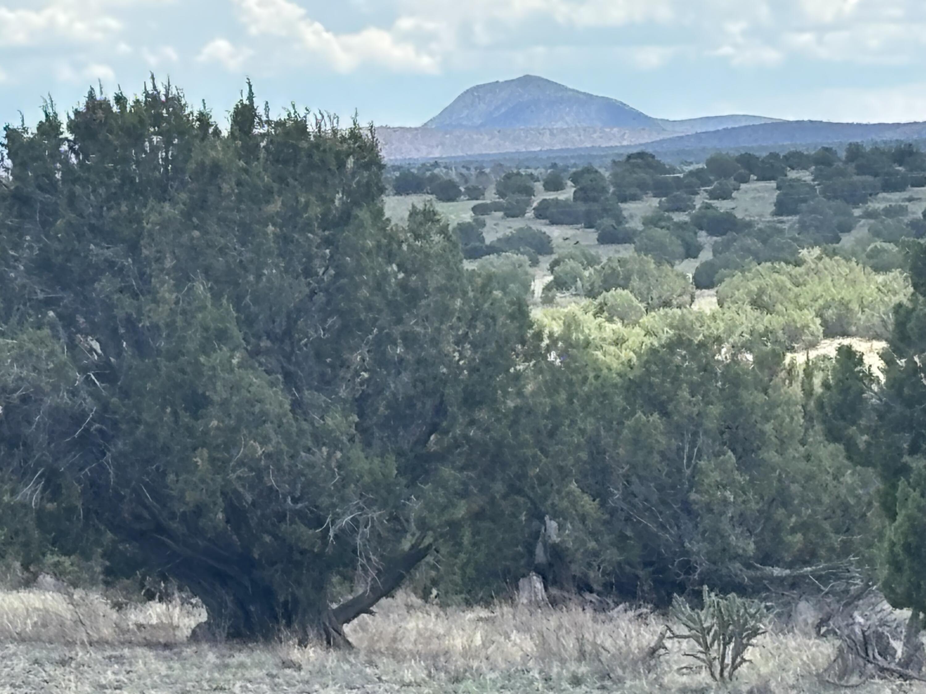 Photo 8 —  Lot 24 Pinon Springs Road