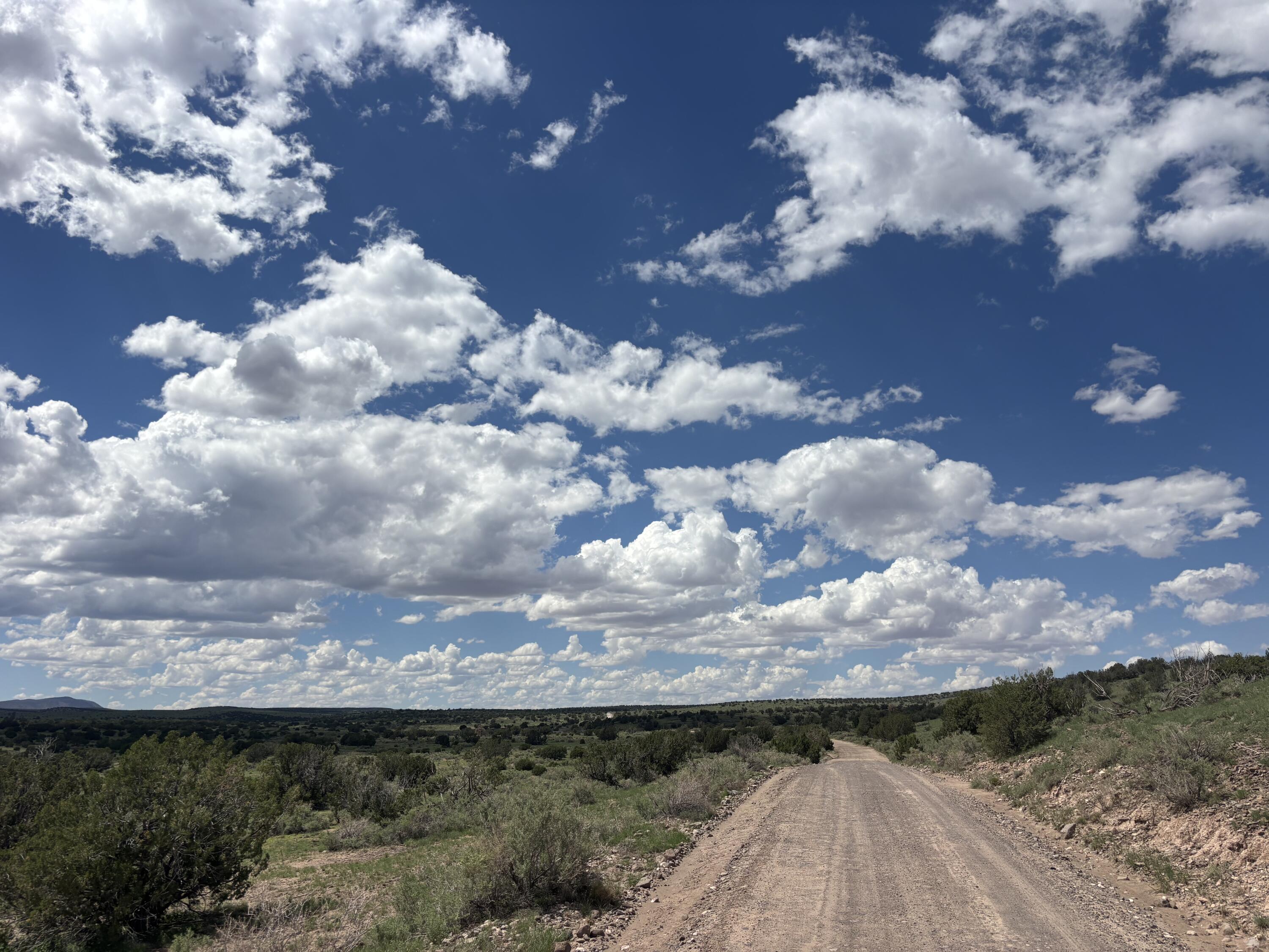 Photo 9 —  Lot 24 Pinon Springs Road