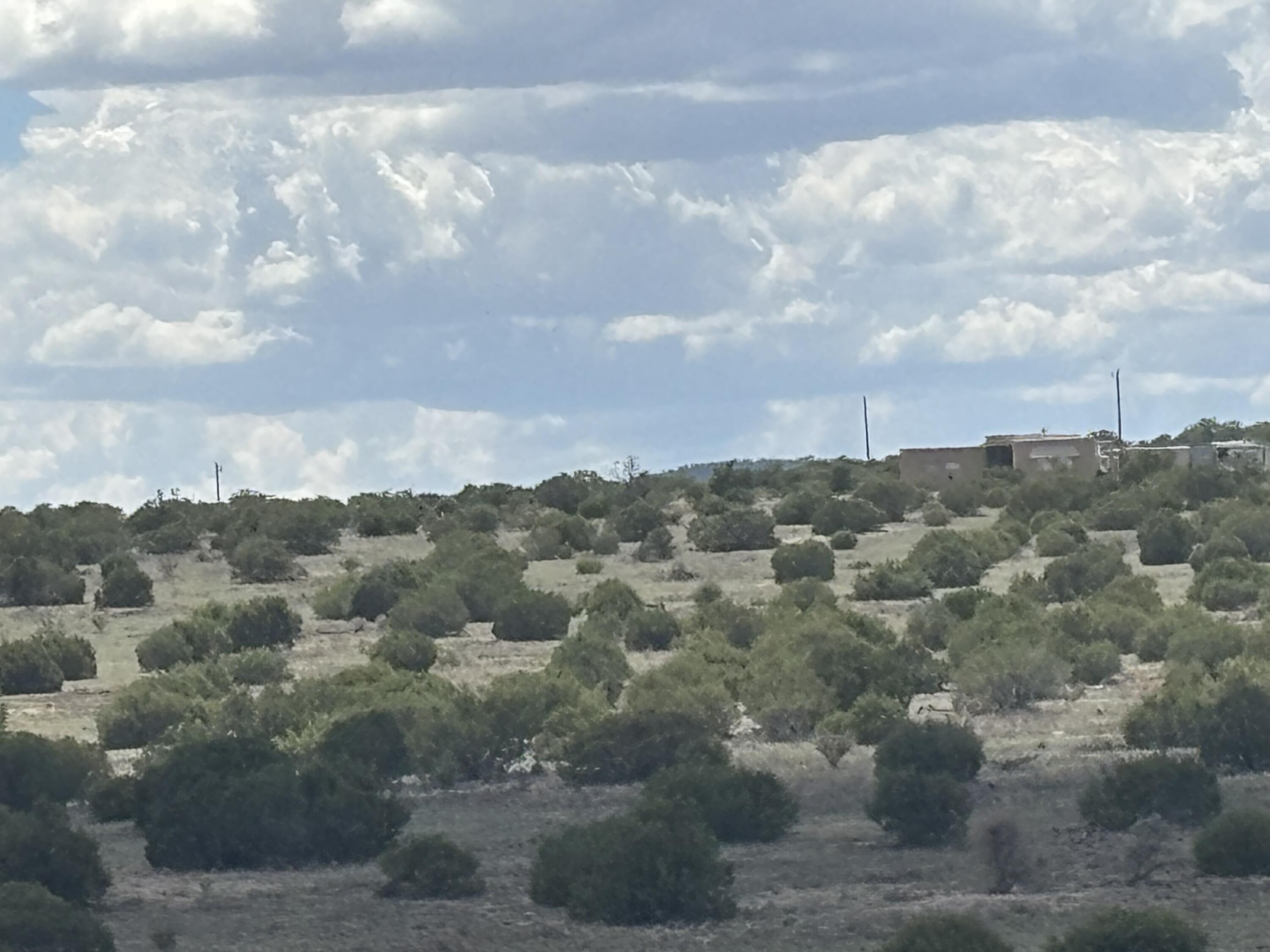Photo 10 —  Lot 24 Pinon Springs Road