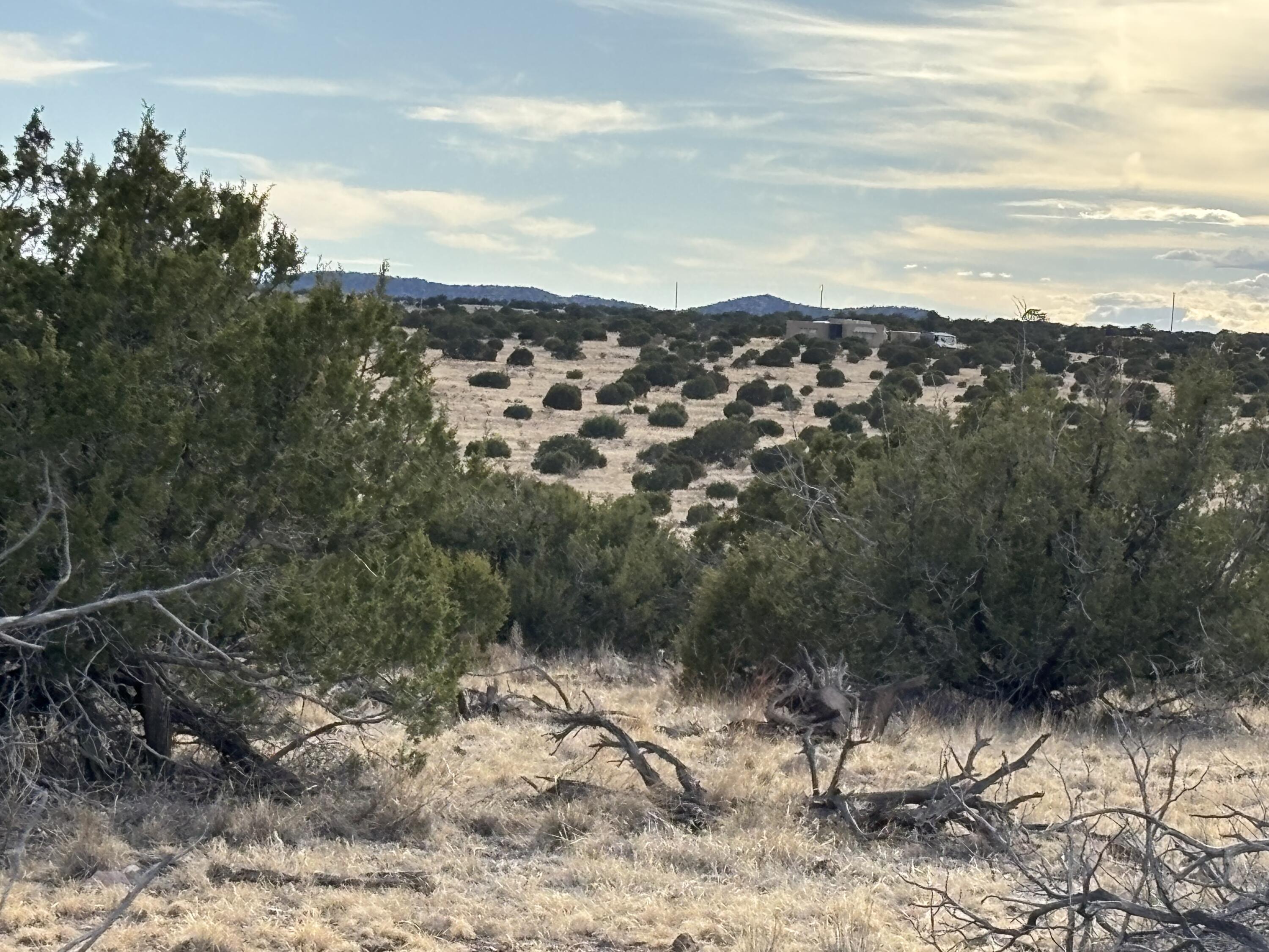 Photo 11 —  Lot 24 Pinon Springs Road