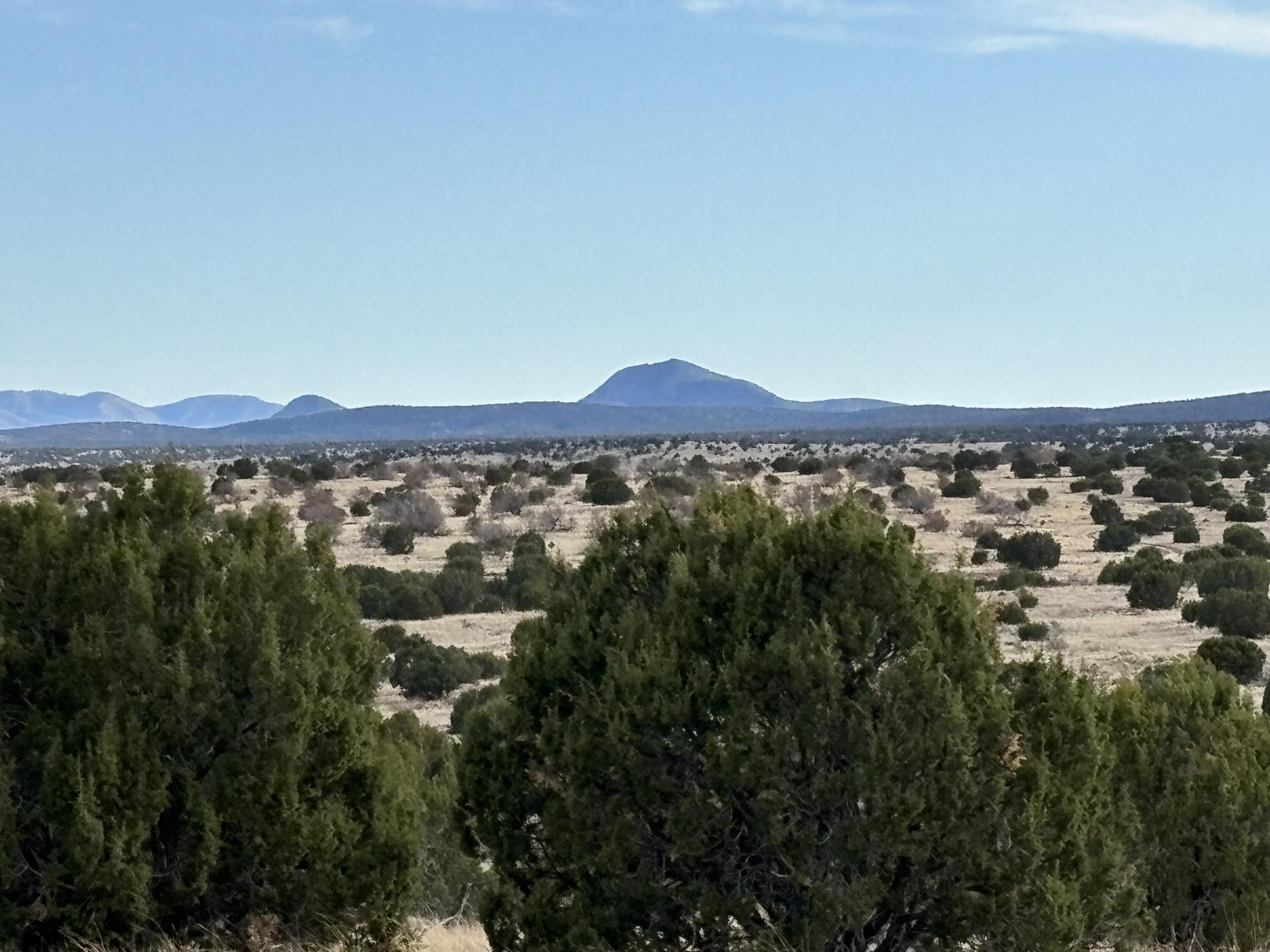 Photo 14 —  Lot 24 Pinon Springs Road
