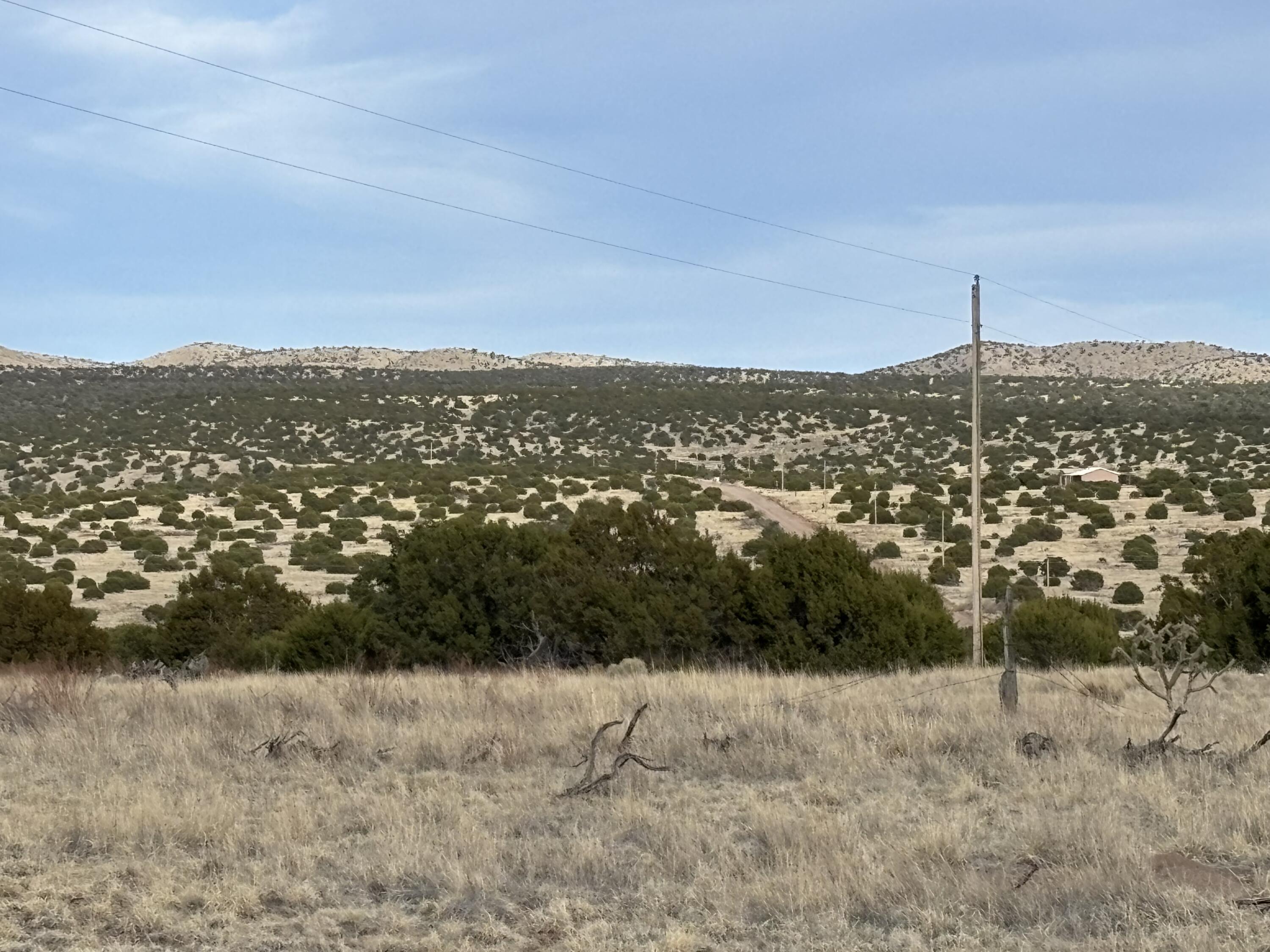 Photo 15 —  Lot 24 Pinon Springs Road