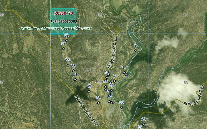 Photo 3 —  Pecos NM Forest 83 - 40 Acres
