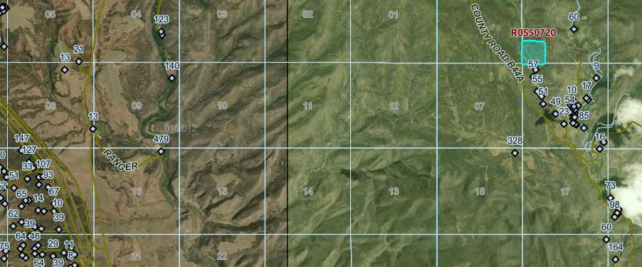 Photo 2 —  Pecos NM Forest 83 - 40 Acres