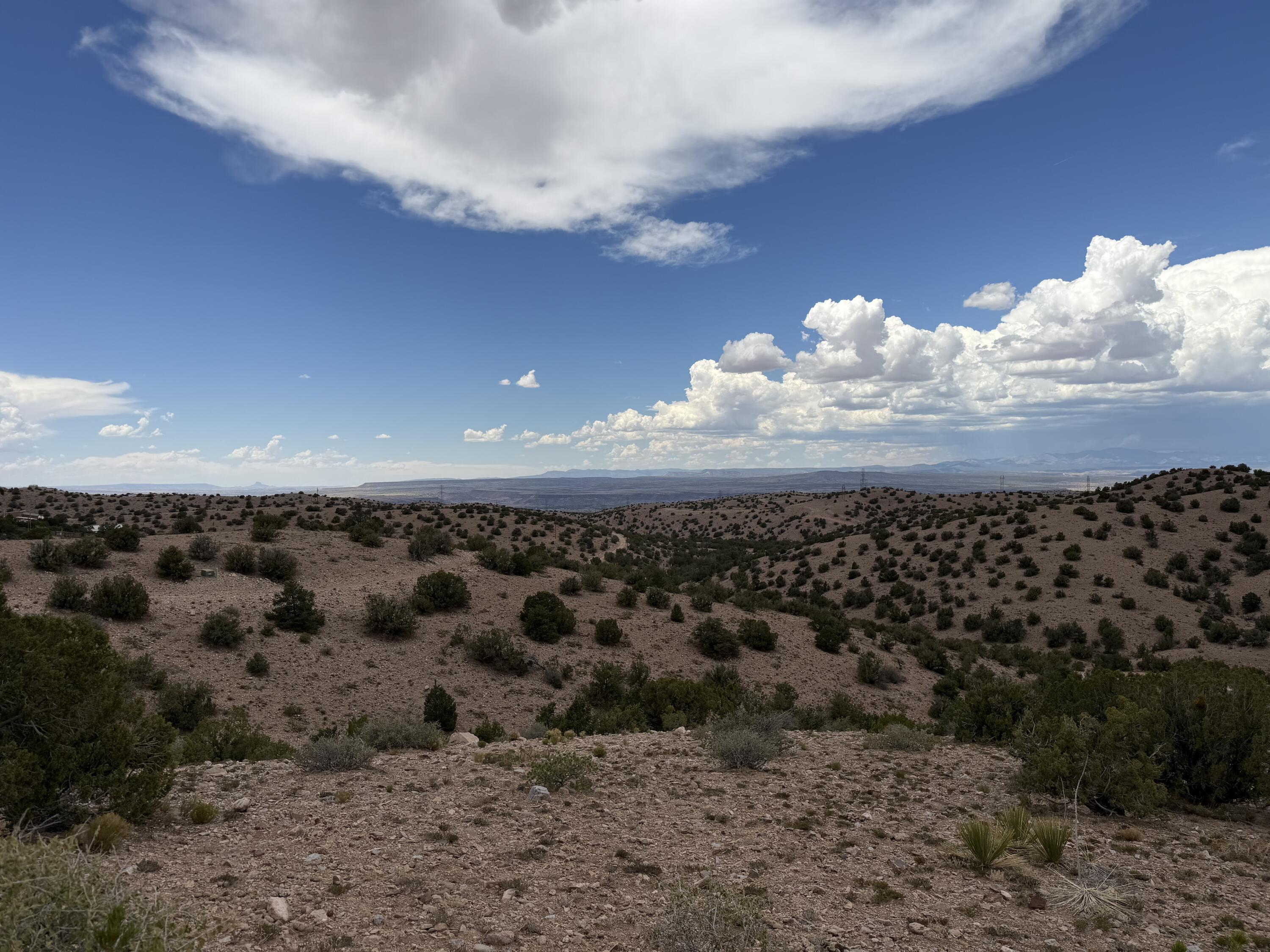  Caballo Palido, Placitas, NM 87043