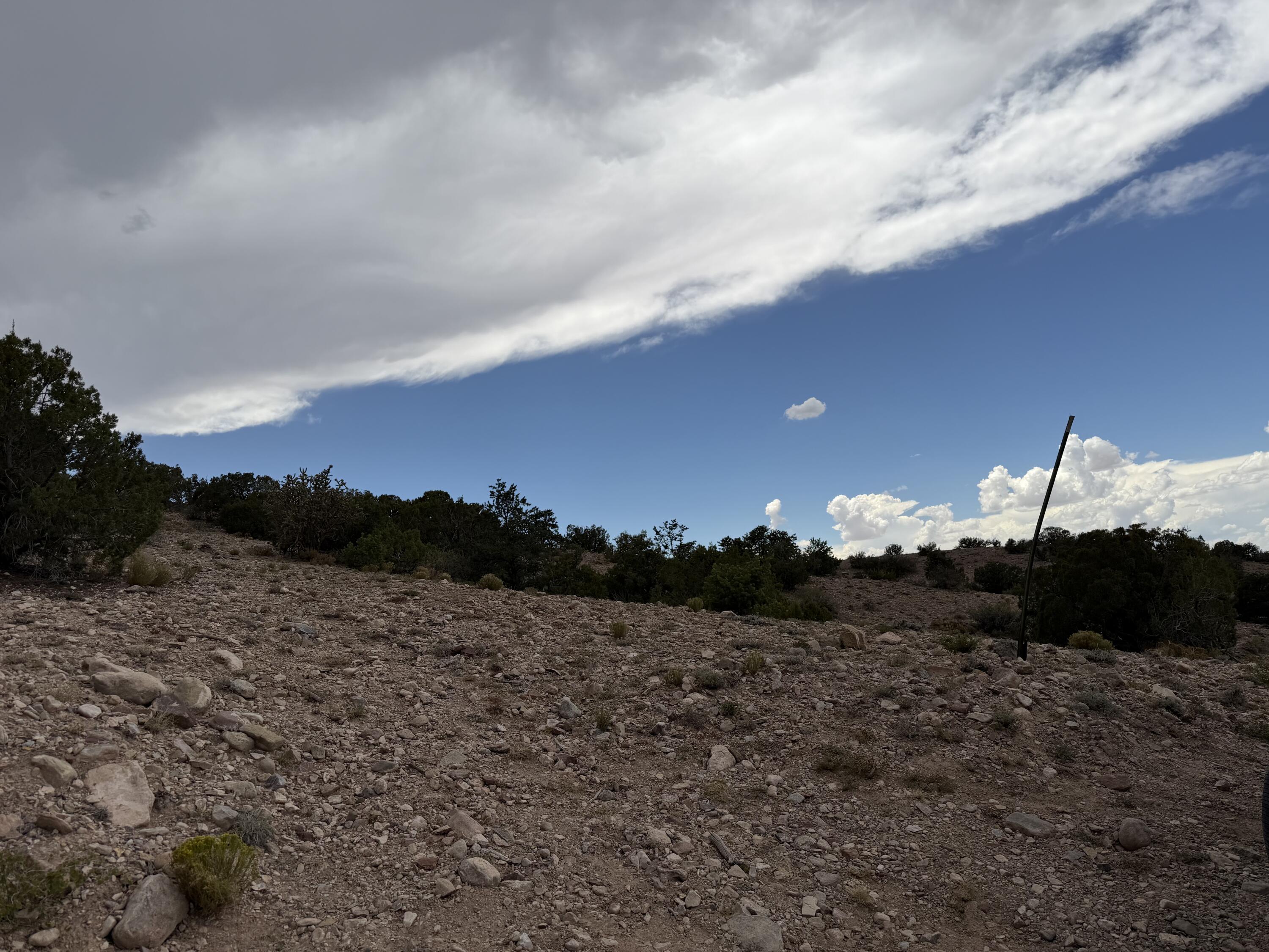 Photo 2 —  Caballo Palido