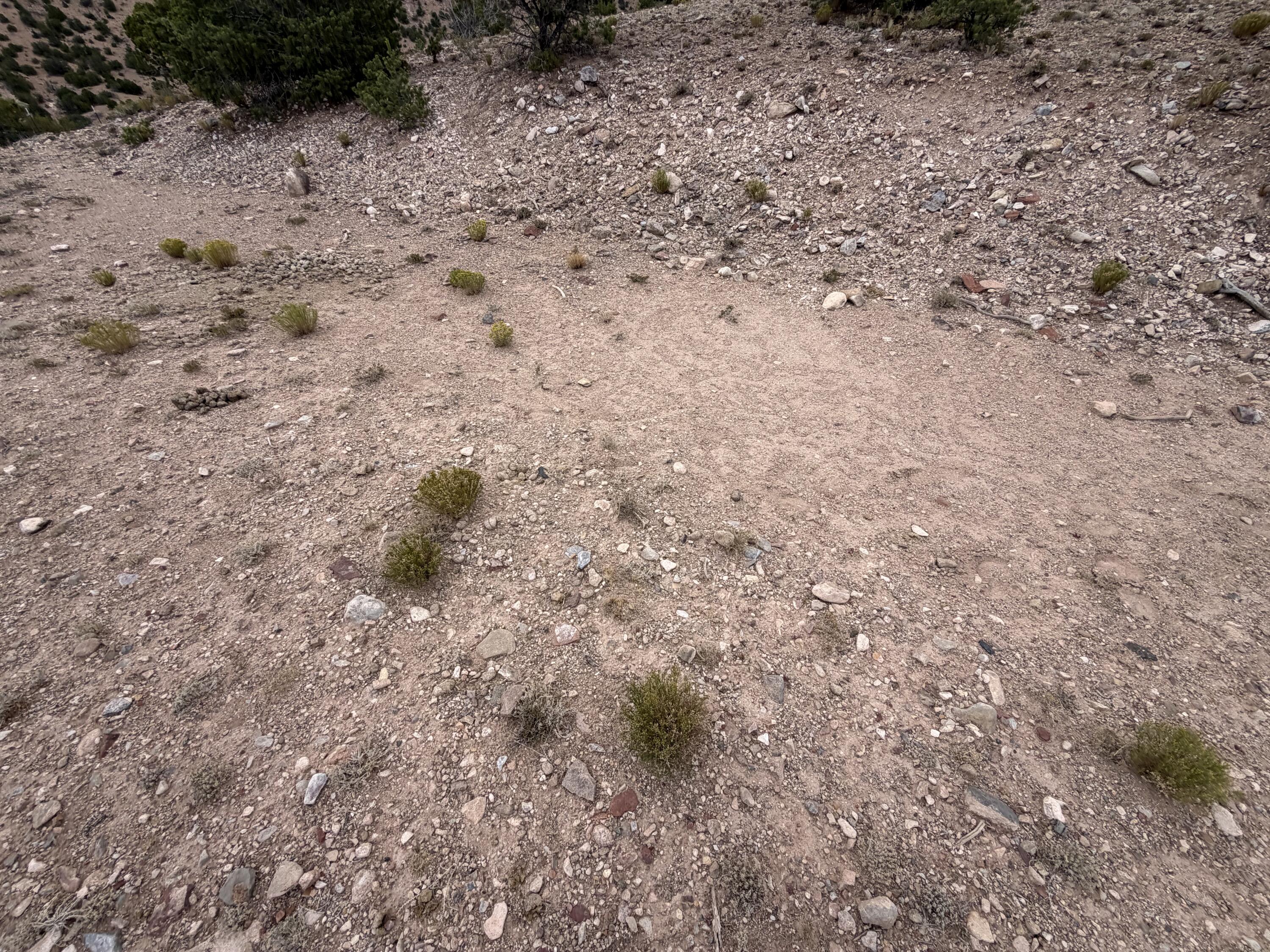 Photo 3 —  Caballo Palido