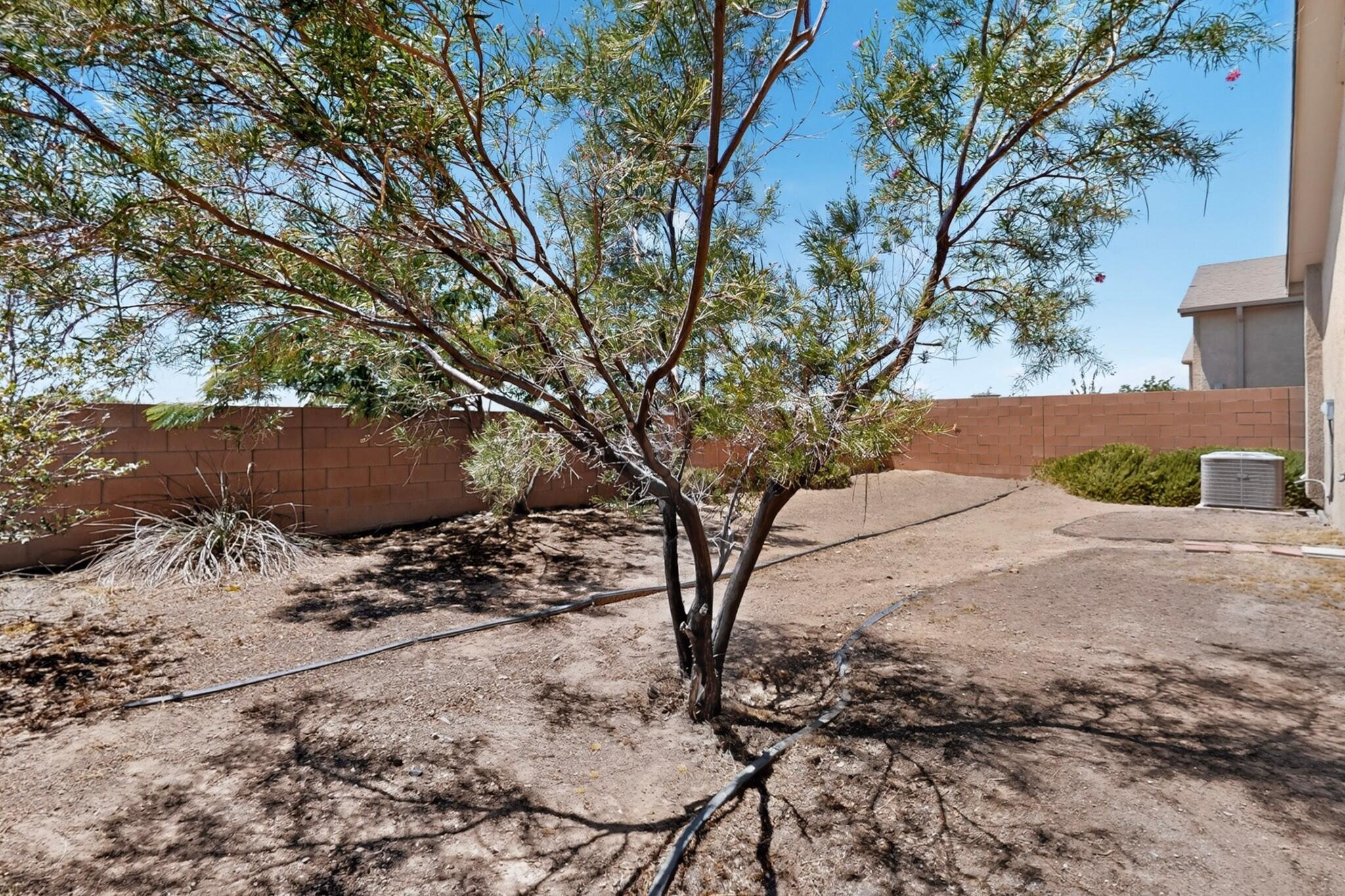 Photo 19 — 1024 Jacobs Drive NE