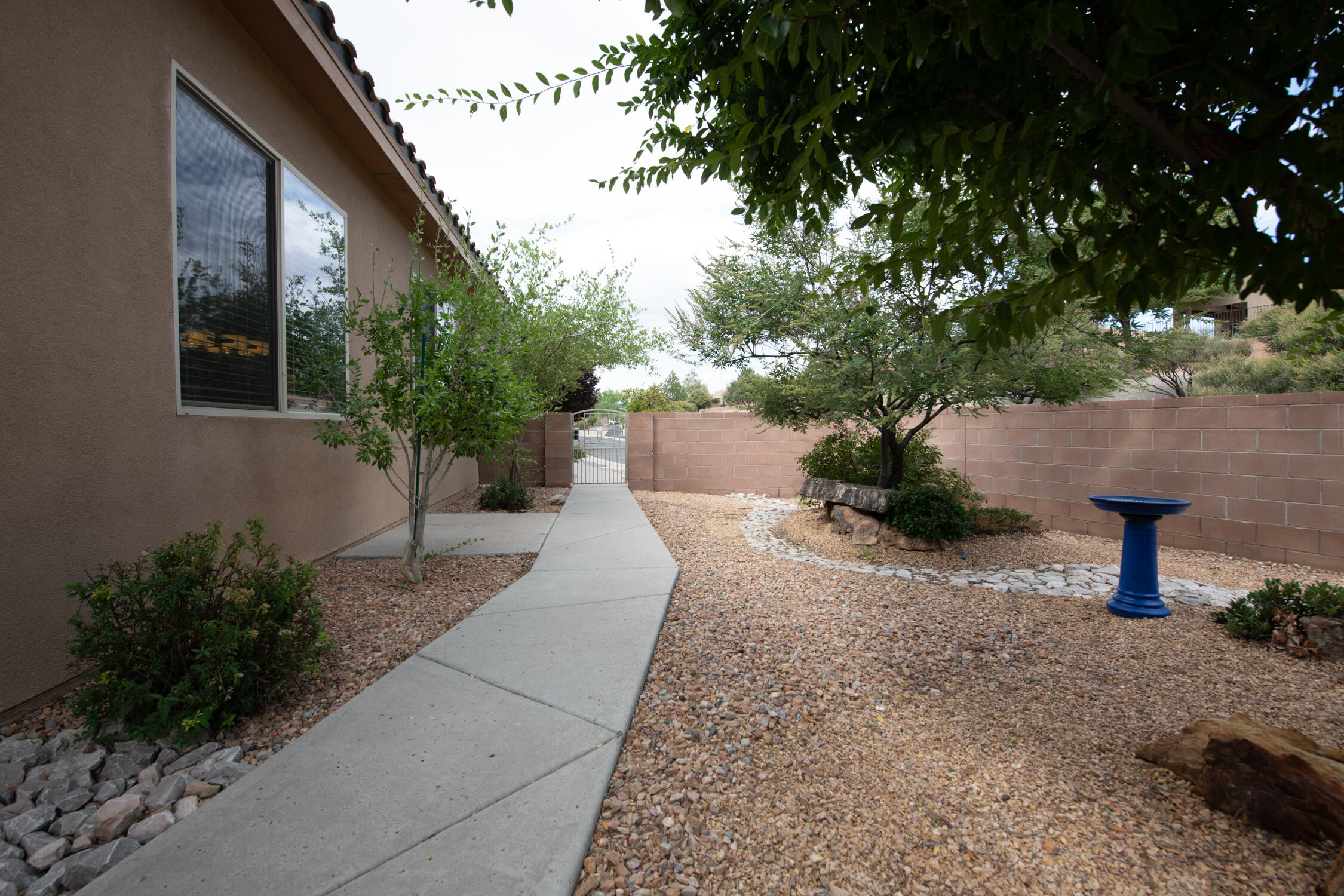Photo 8 — 800 Purple Aster Drive