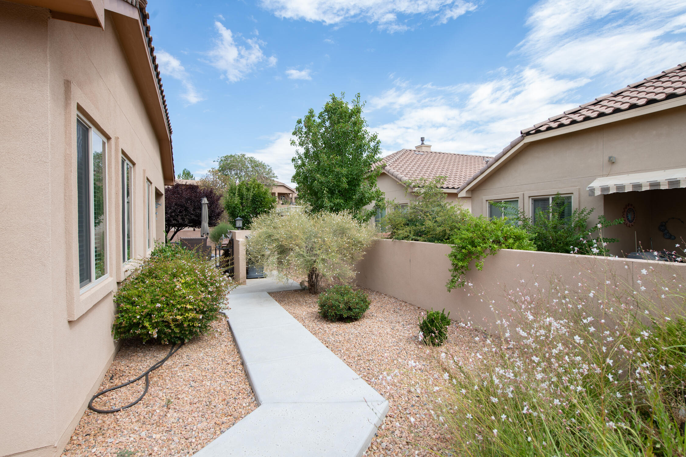 Photo 16 — 800 Purple Aster Drive