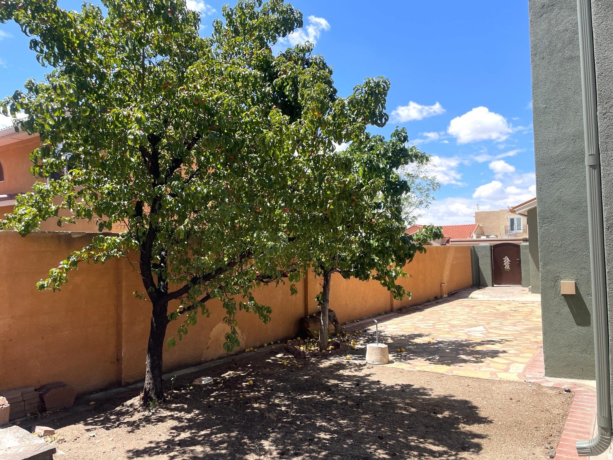 Photo 4 — 1506 Wells Drive NE