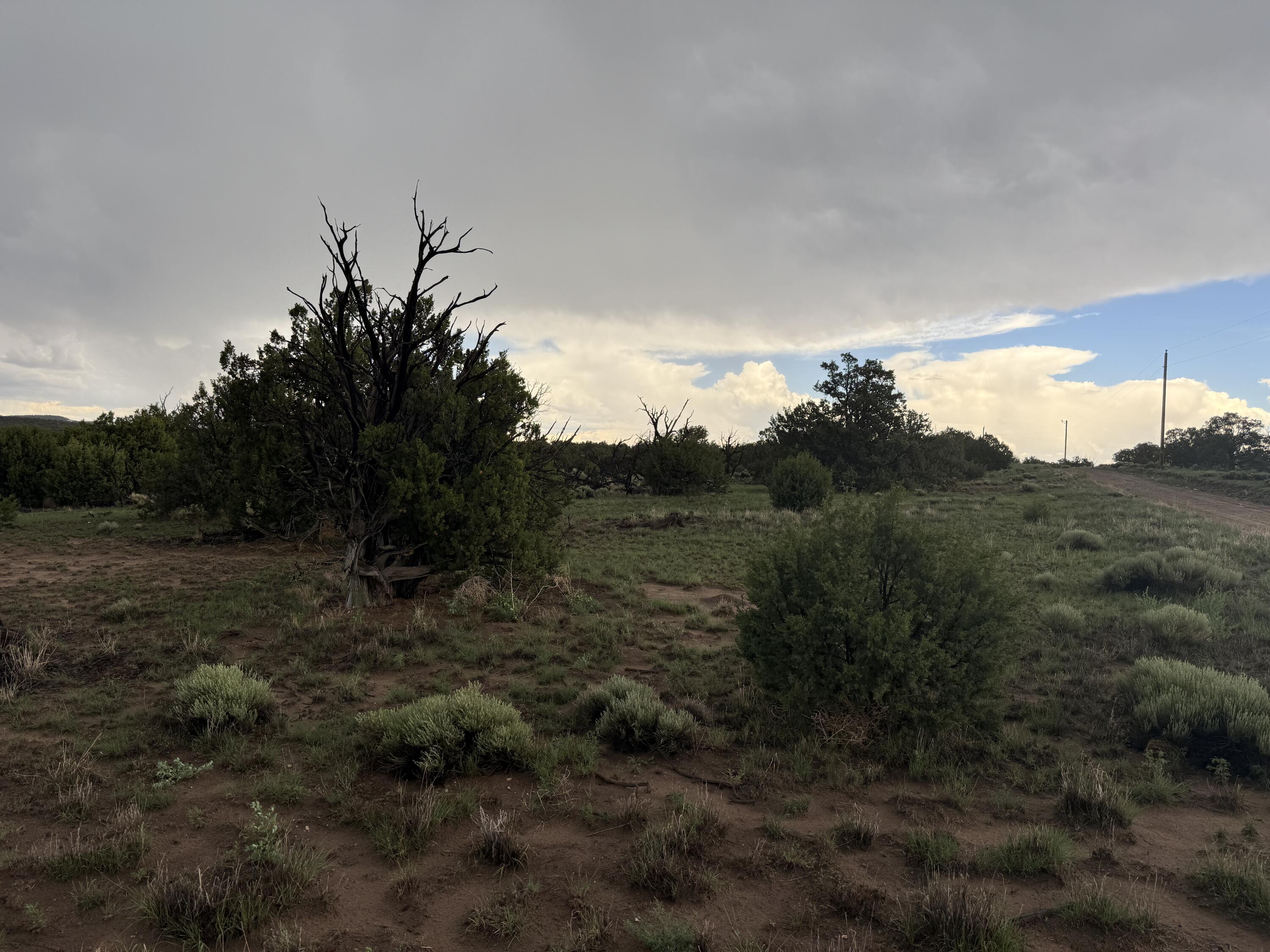 Photo 7 — LOT 78 BIG CHIEF RD