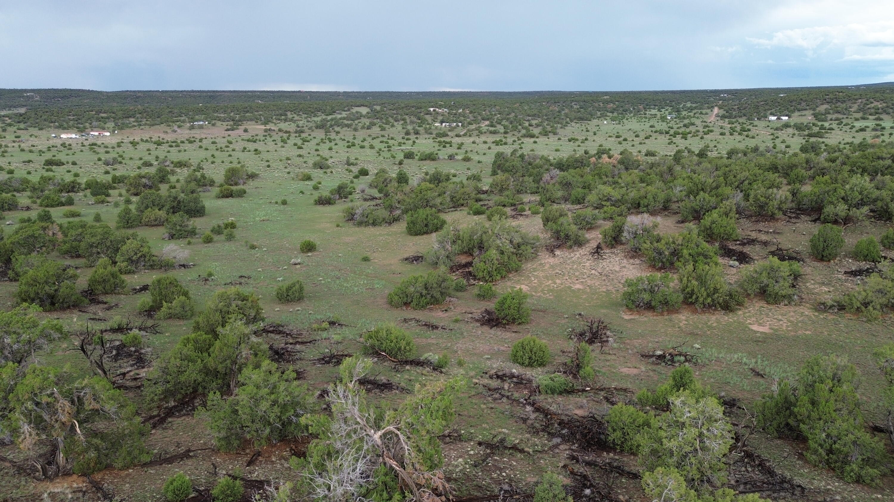 Photo 15 — LOT 78 BIG CHIEF RD
