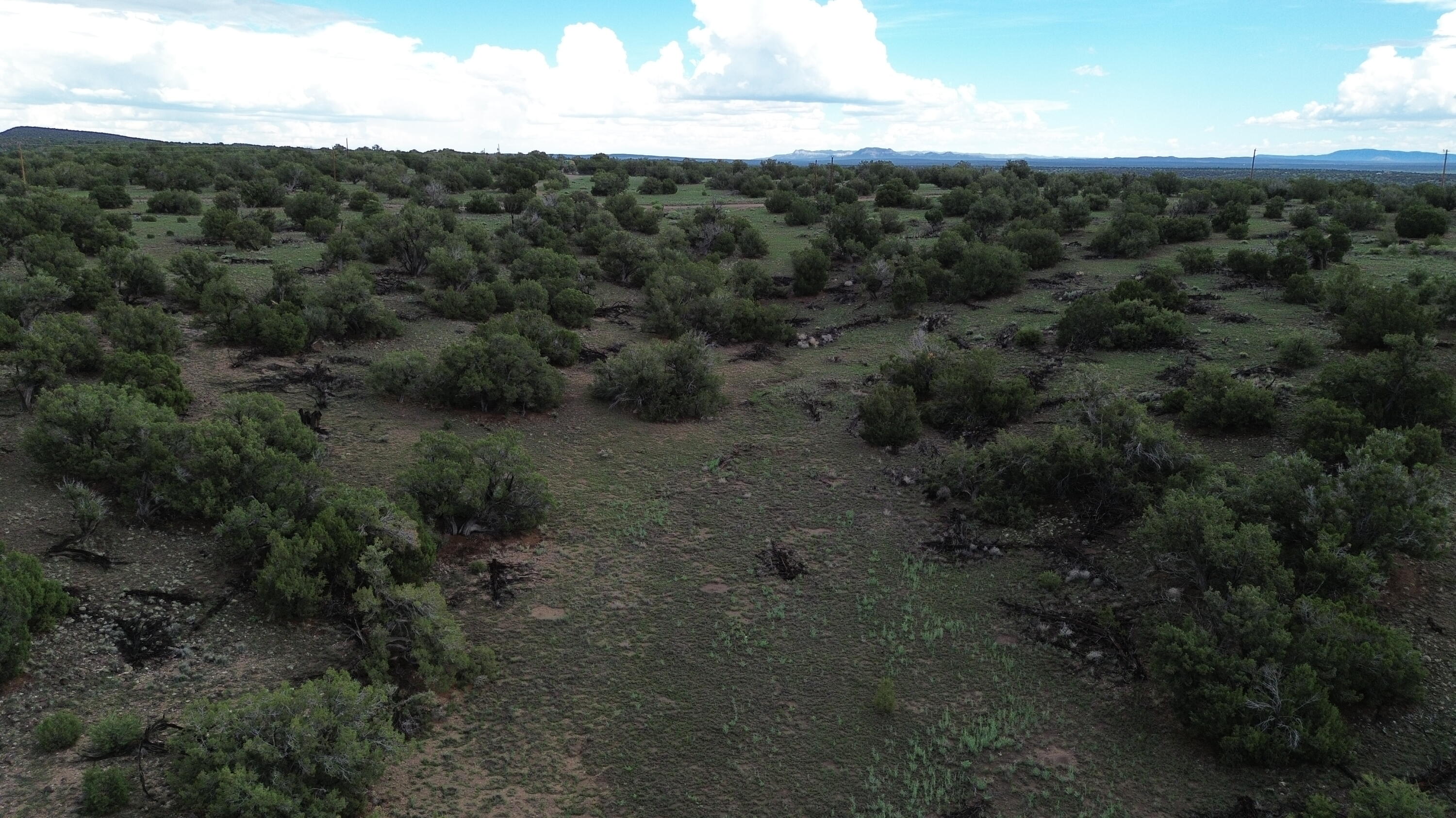 Photo 14 — LOT 78 BIG CHIEF RD