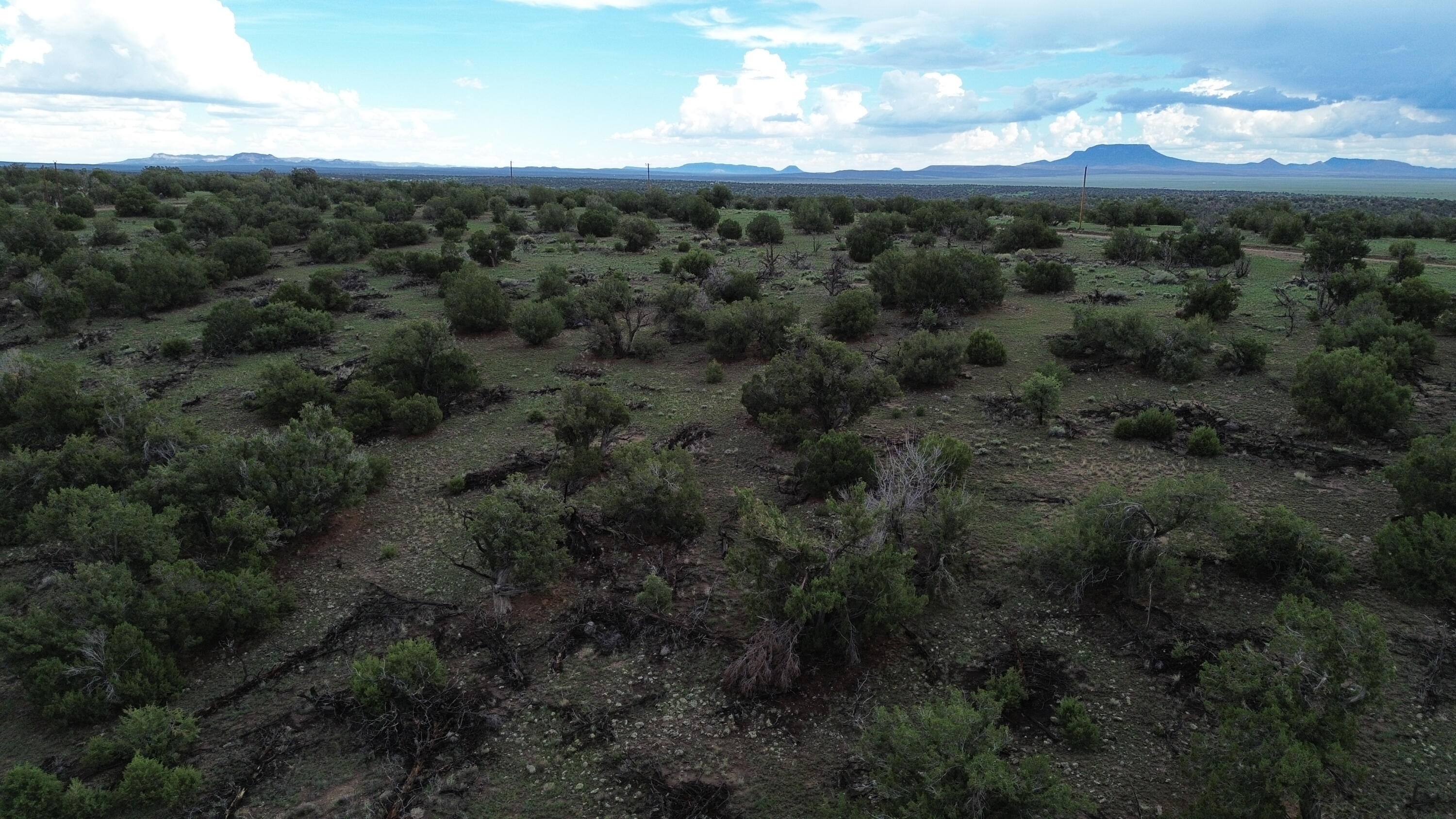 Photo 13 — LOT 78 BIG CHIEF RD