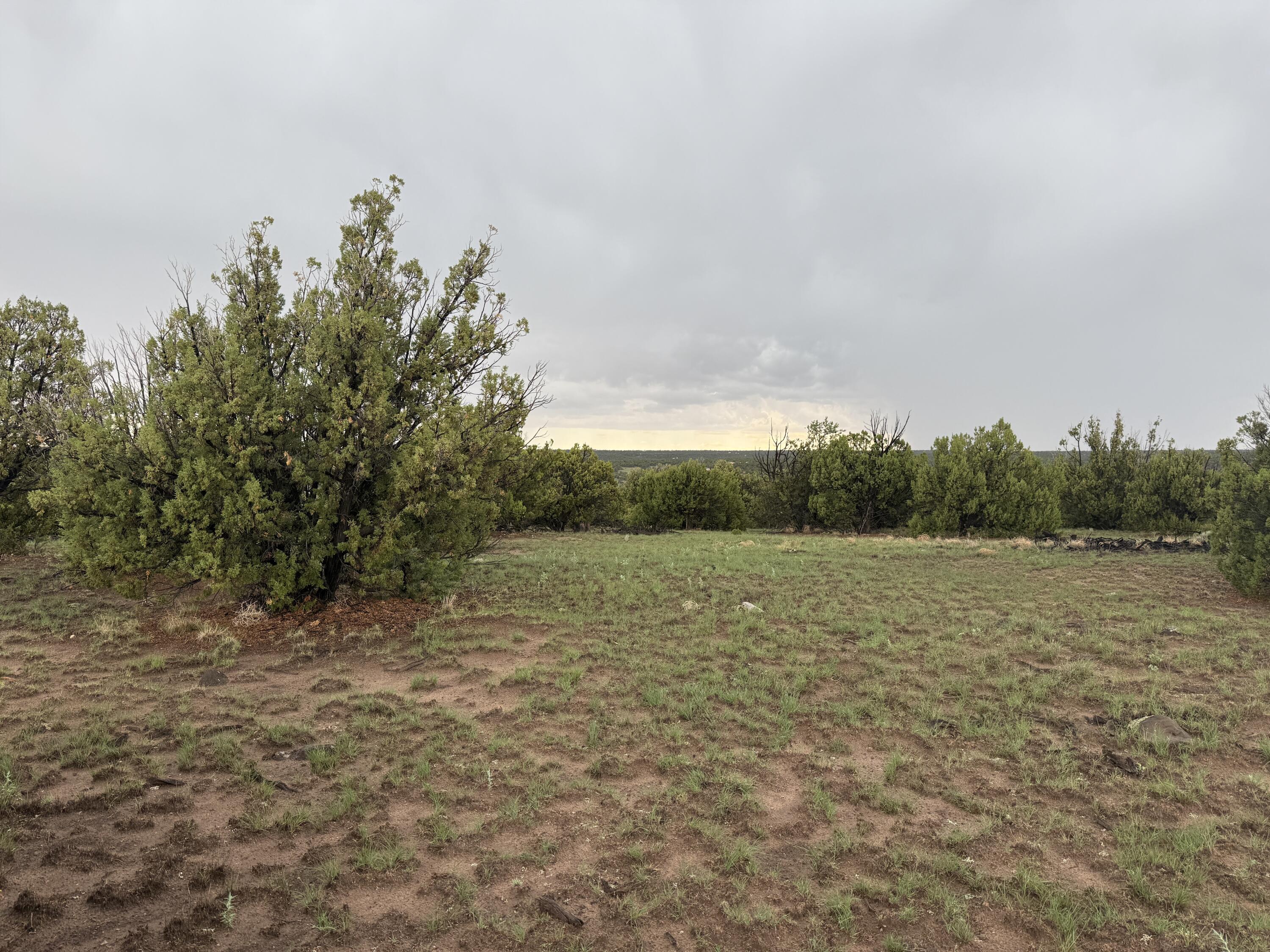 Photo 11 — LOT 78 BIG CHIEF RD