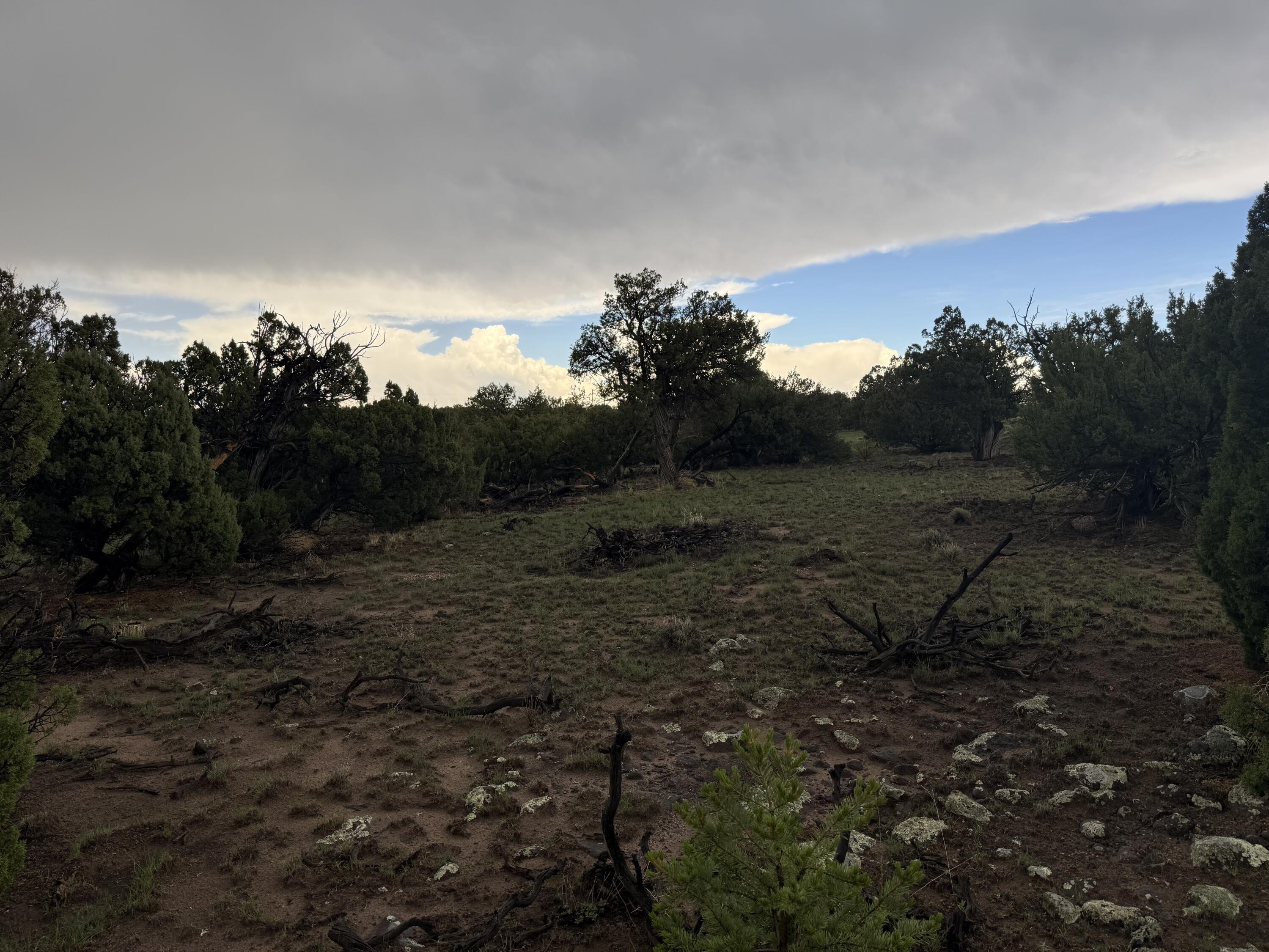 Photo 10 — LOT 78 BIG CHIEF RD