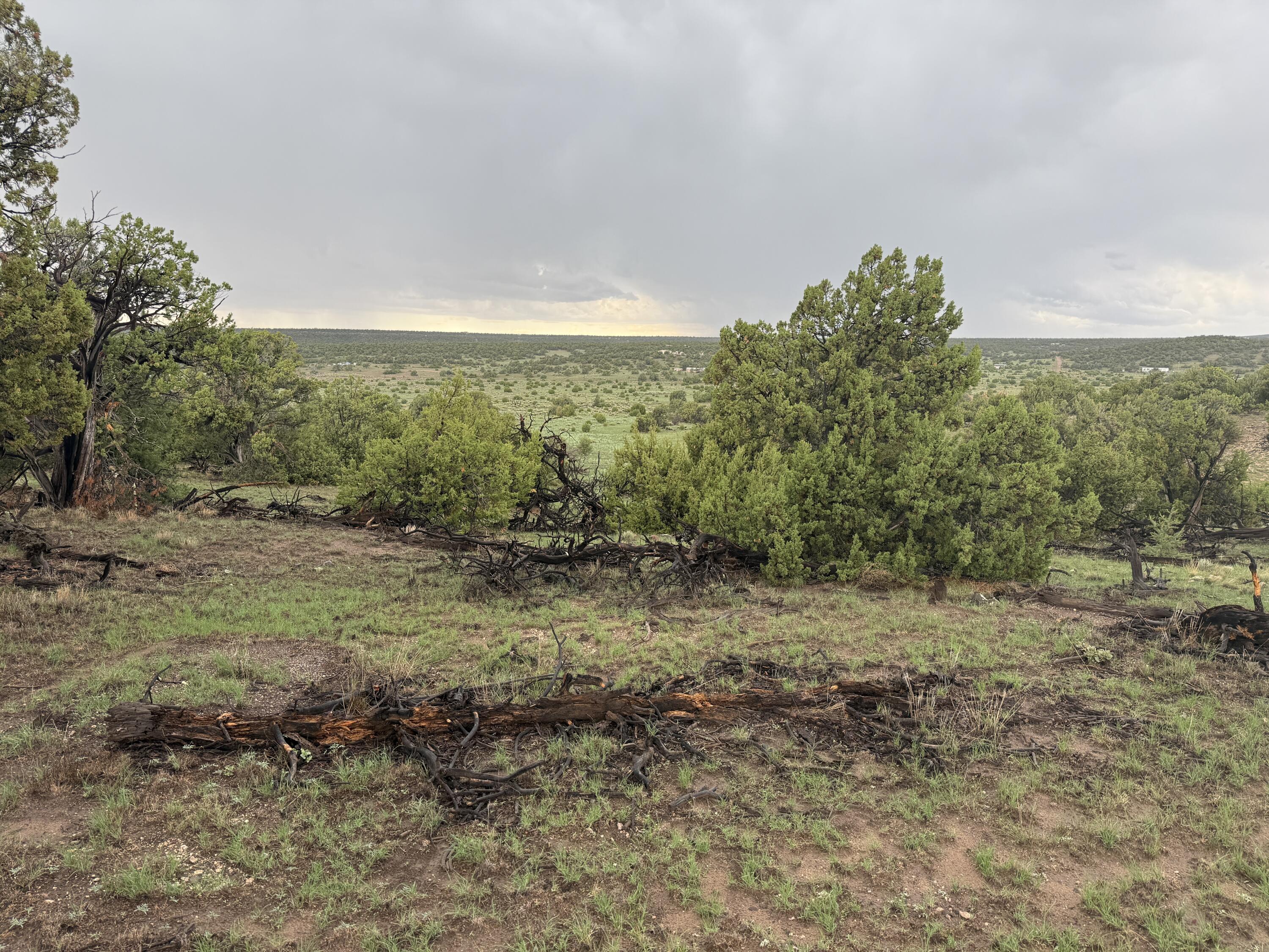 Photo 9 — LOT 78 BIG CHIEF RD