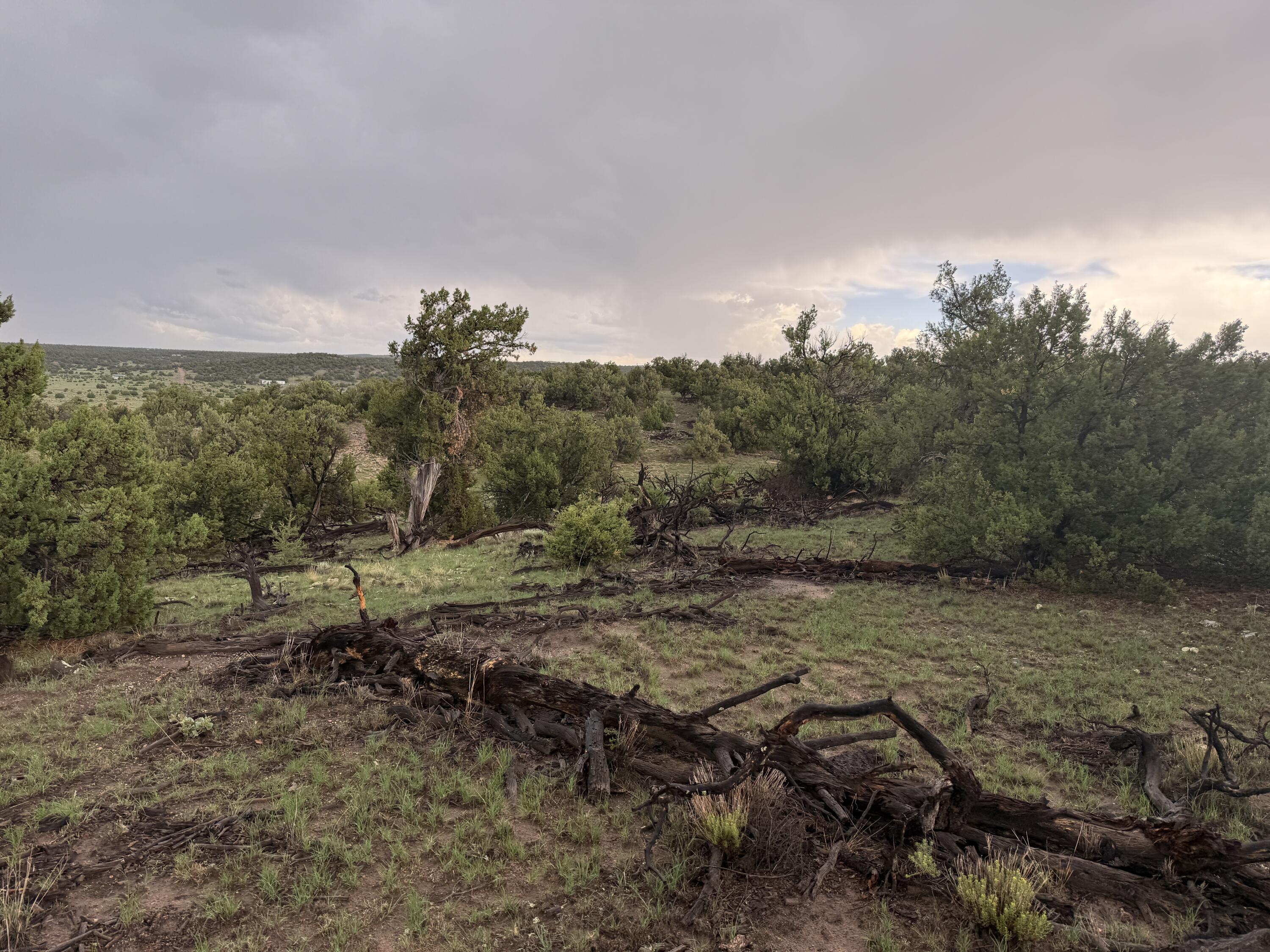 Photo 8 — LOT 78 BIG CHIEF RD