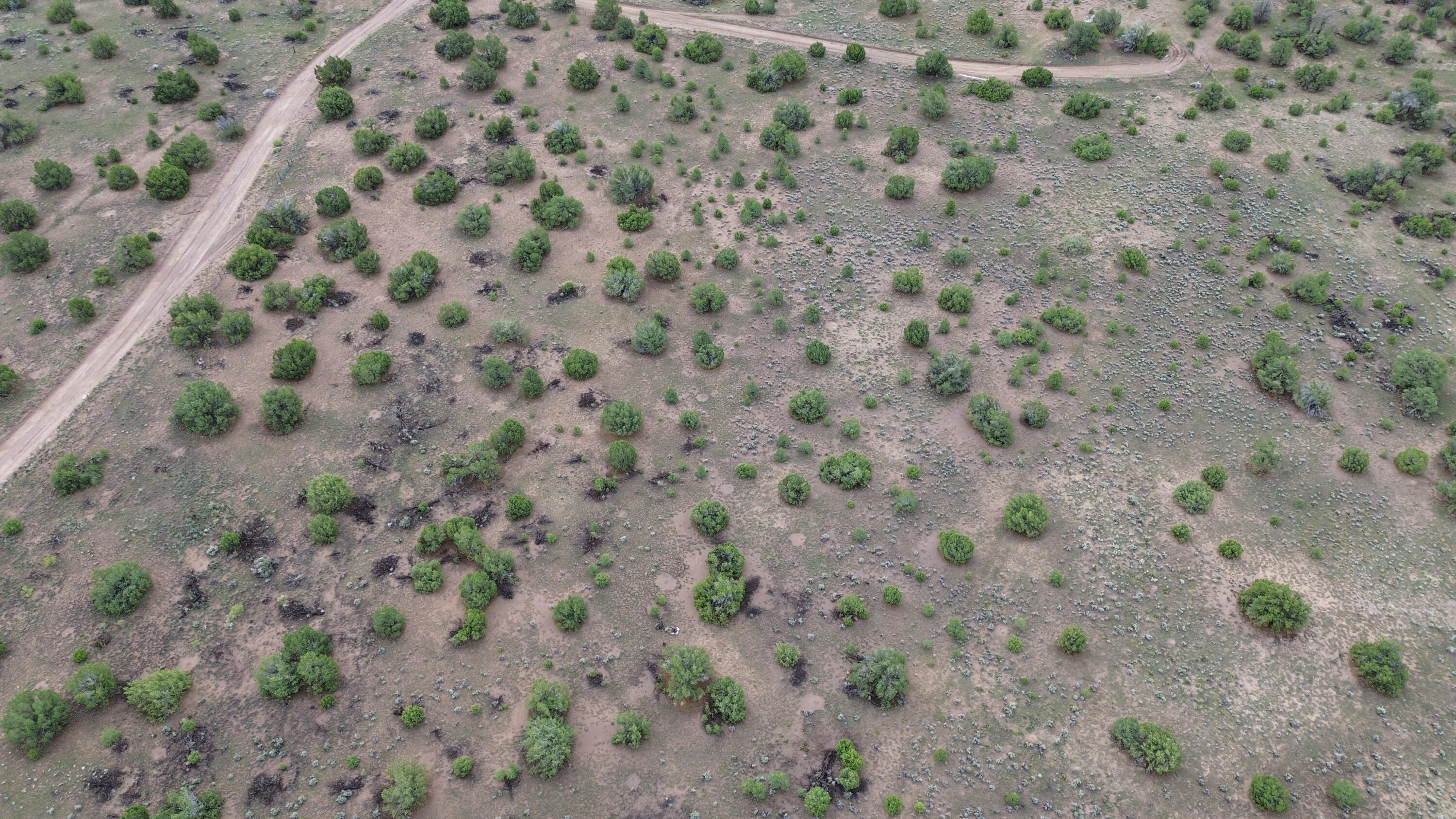 Photo 9 — LOT 47 RUNNING BEAR BLVD