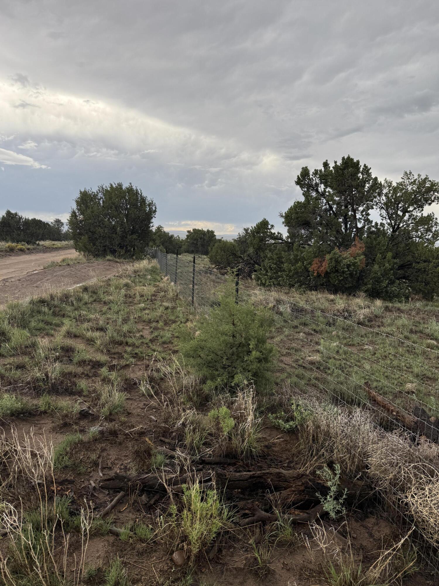 Photo 7 — LOT 47 RUNNING BEAR BLVD