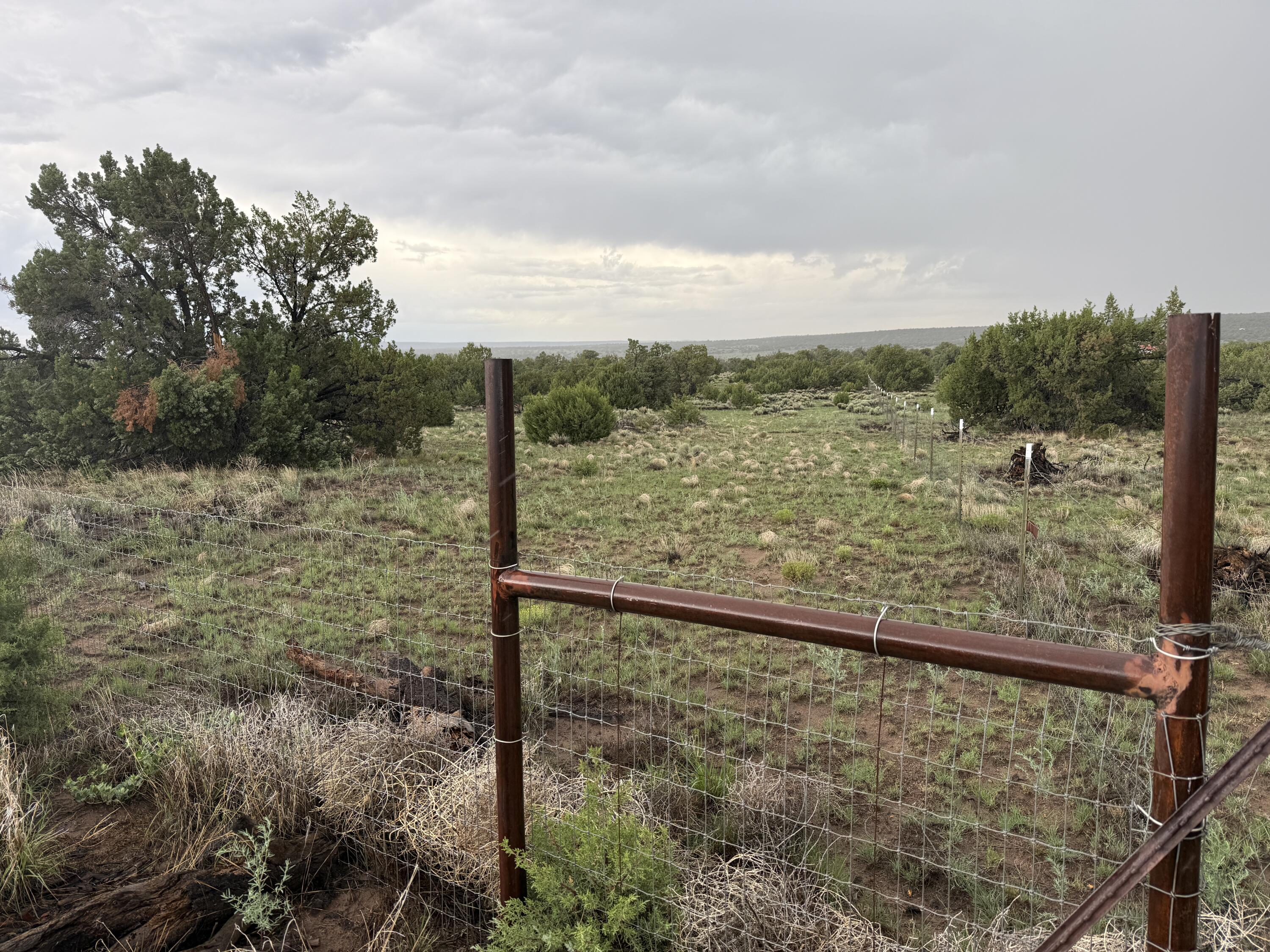 Photo 6 — LOT 47 RUNNING BEAR BLVD