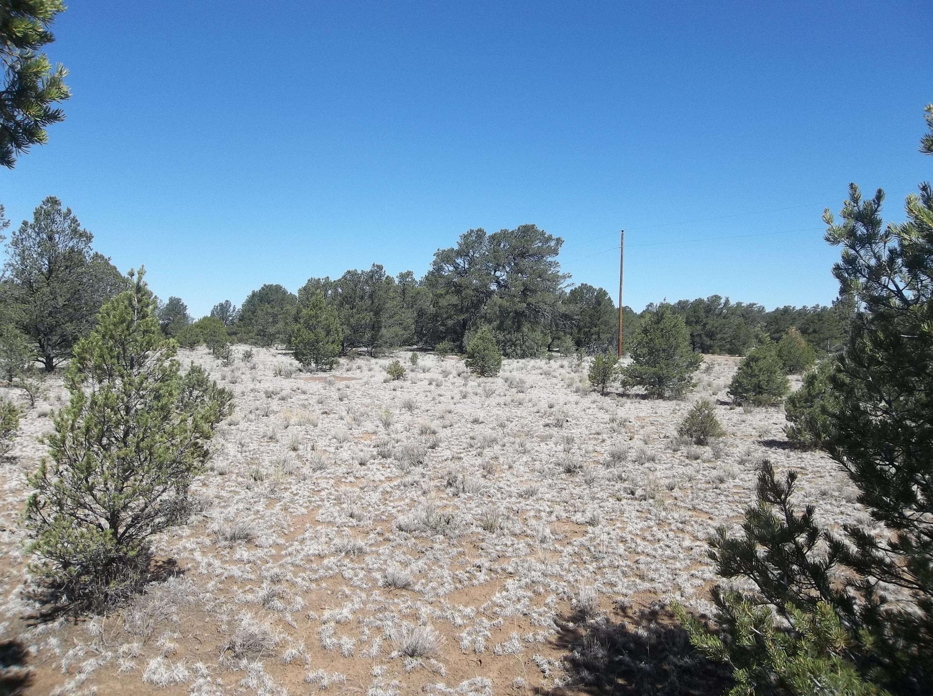 Photo 20 — 10 Camino De Fusilero Road
