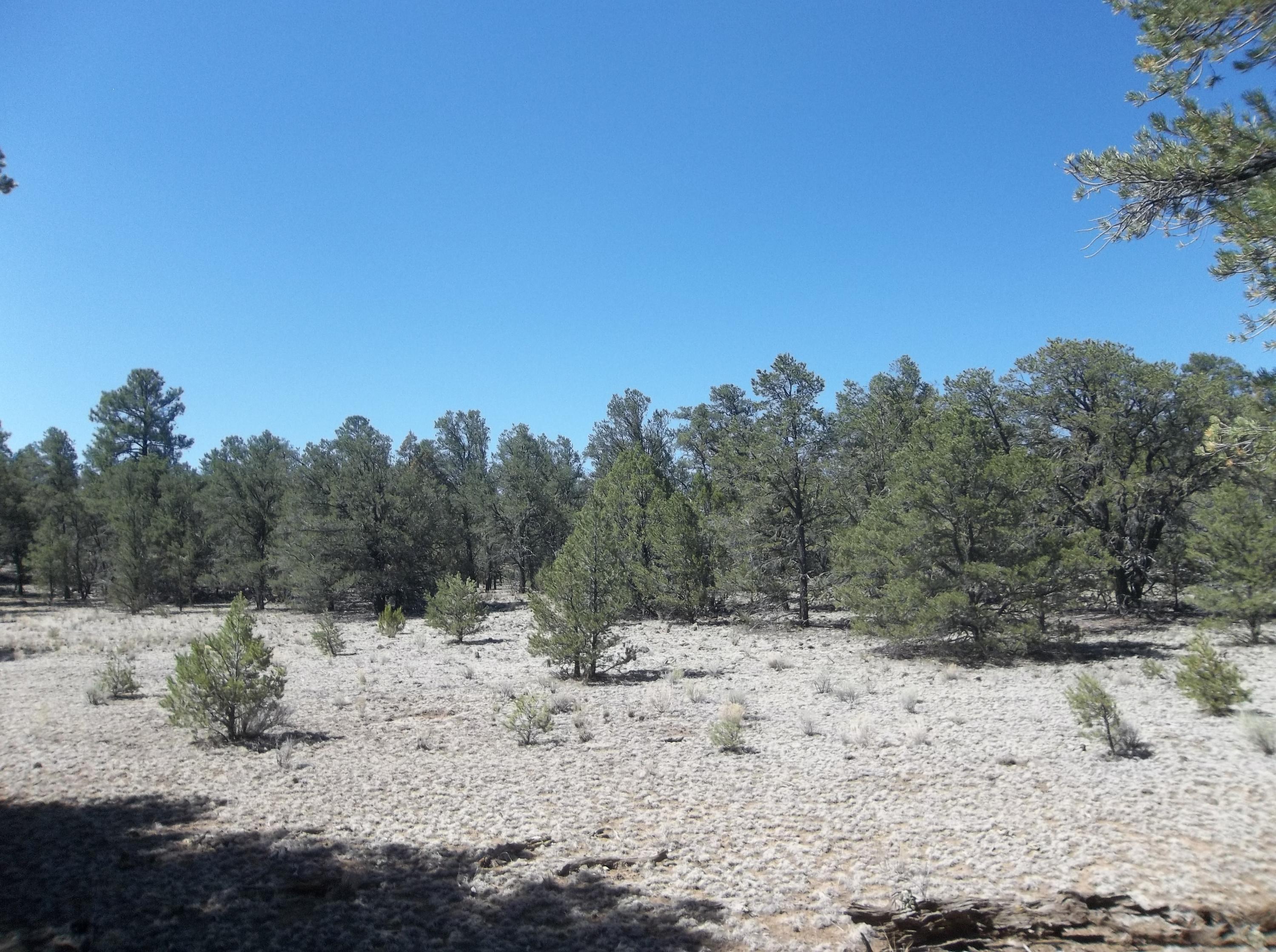 Photo 13 — 10 Camino De Fusilero Road