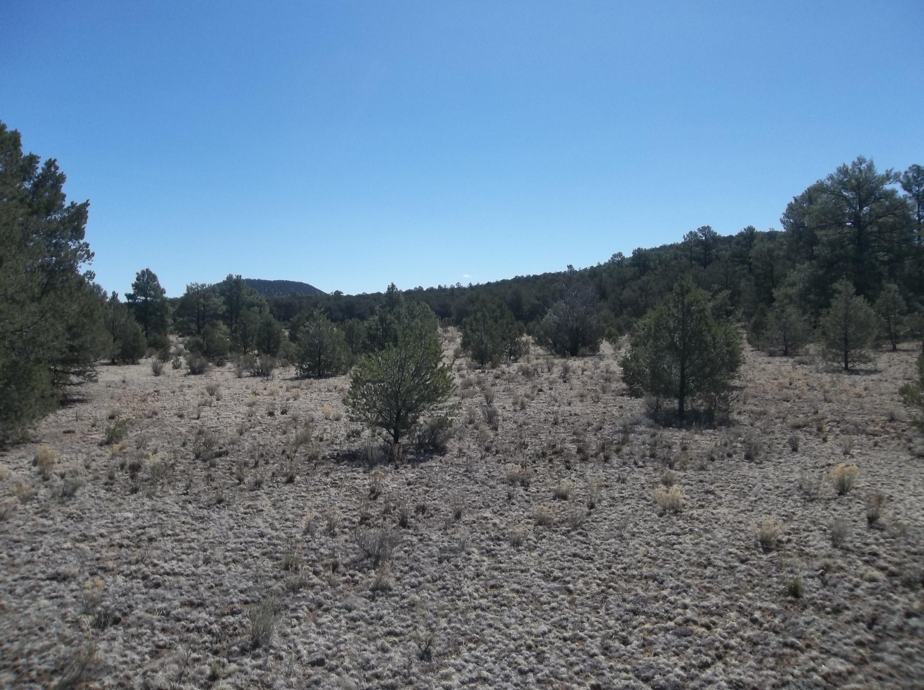 Photo 11 — 10 Camino De Fusilero Road