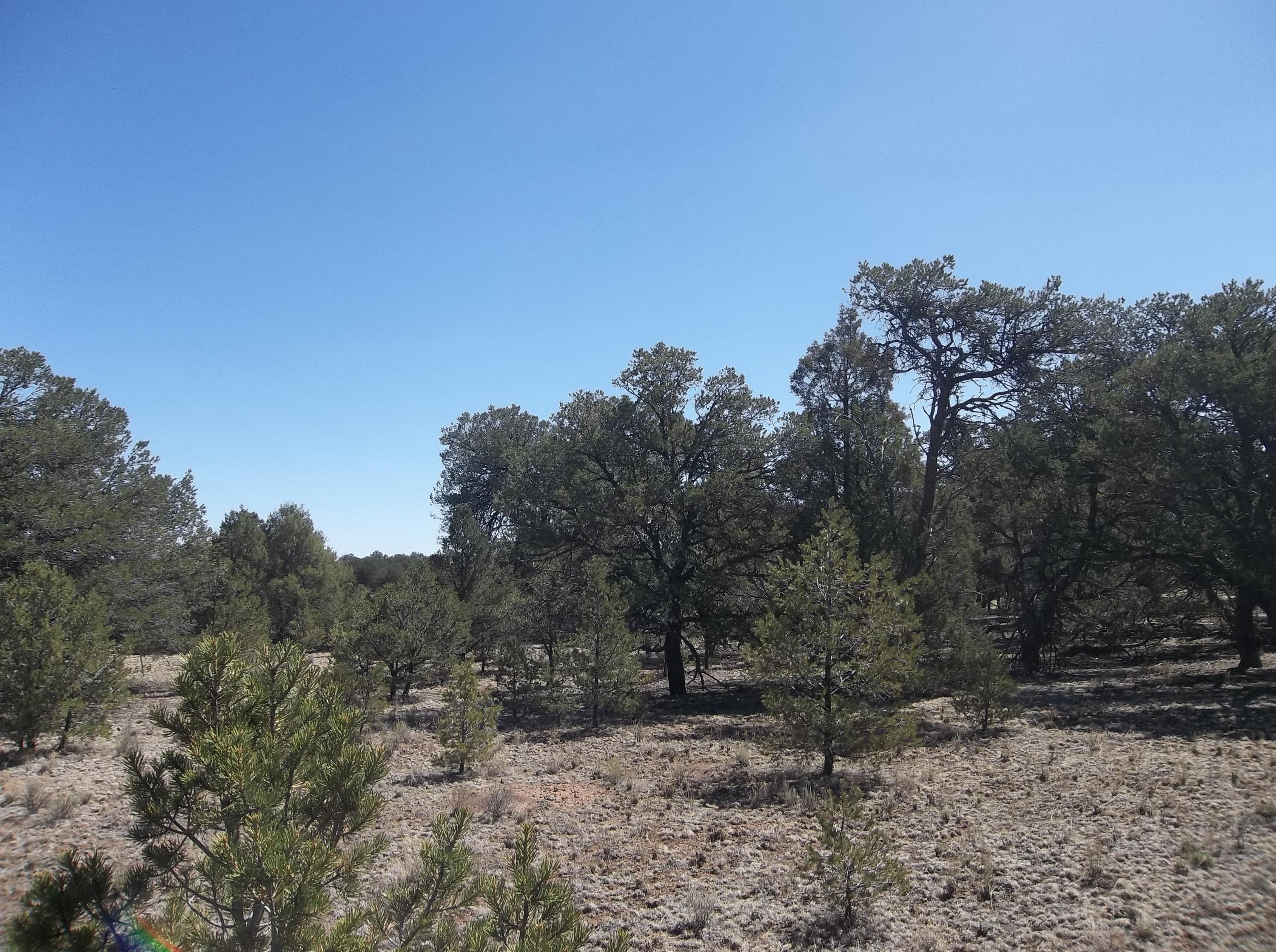Photo 5 — 10 Camino De Fusilero Road