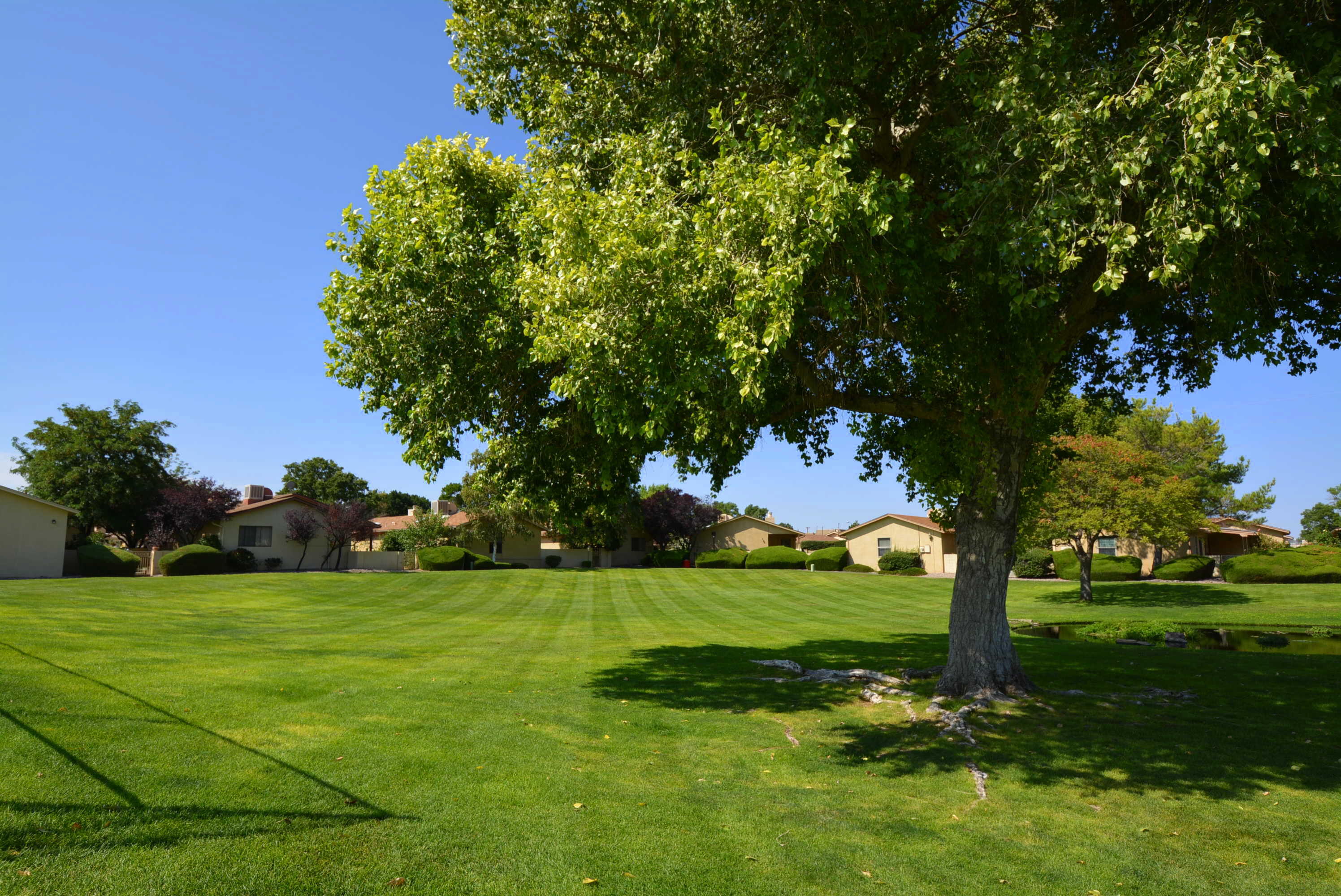 Photo 10 — 10709 Clyburn Park Drive NE