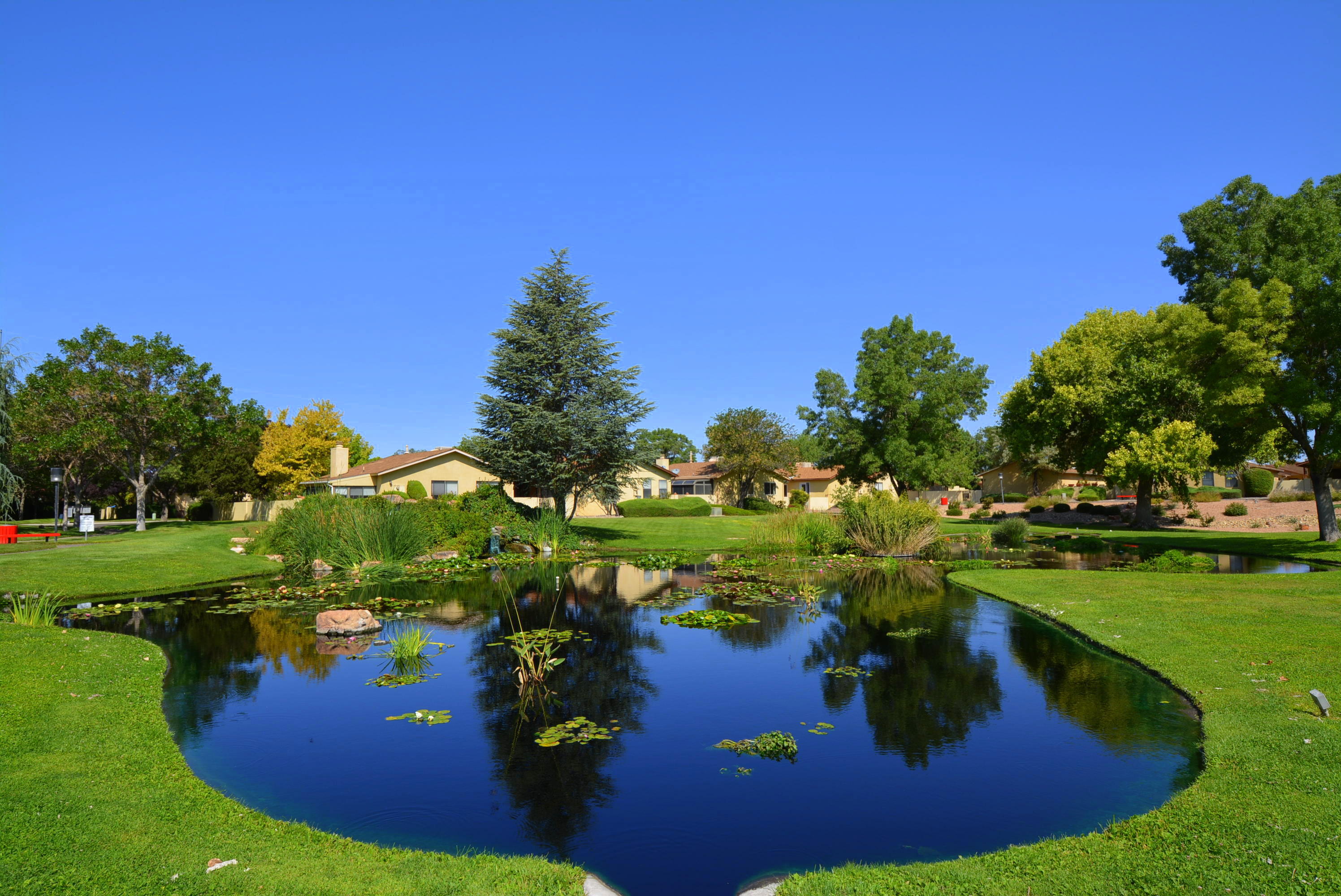 Photo 8 — 10709 Clyburn Park Drive NE
