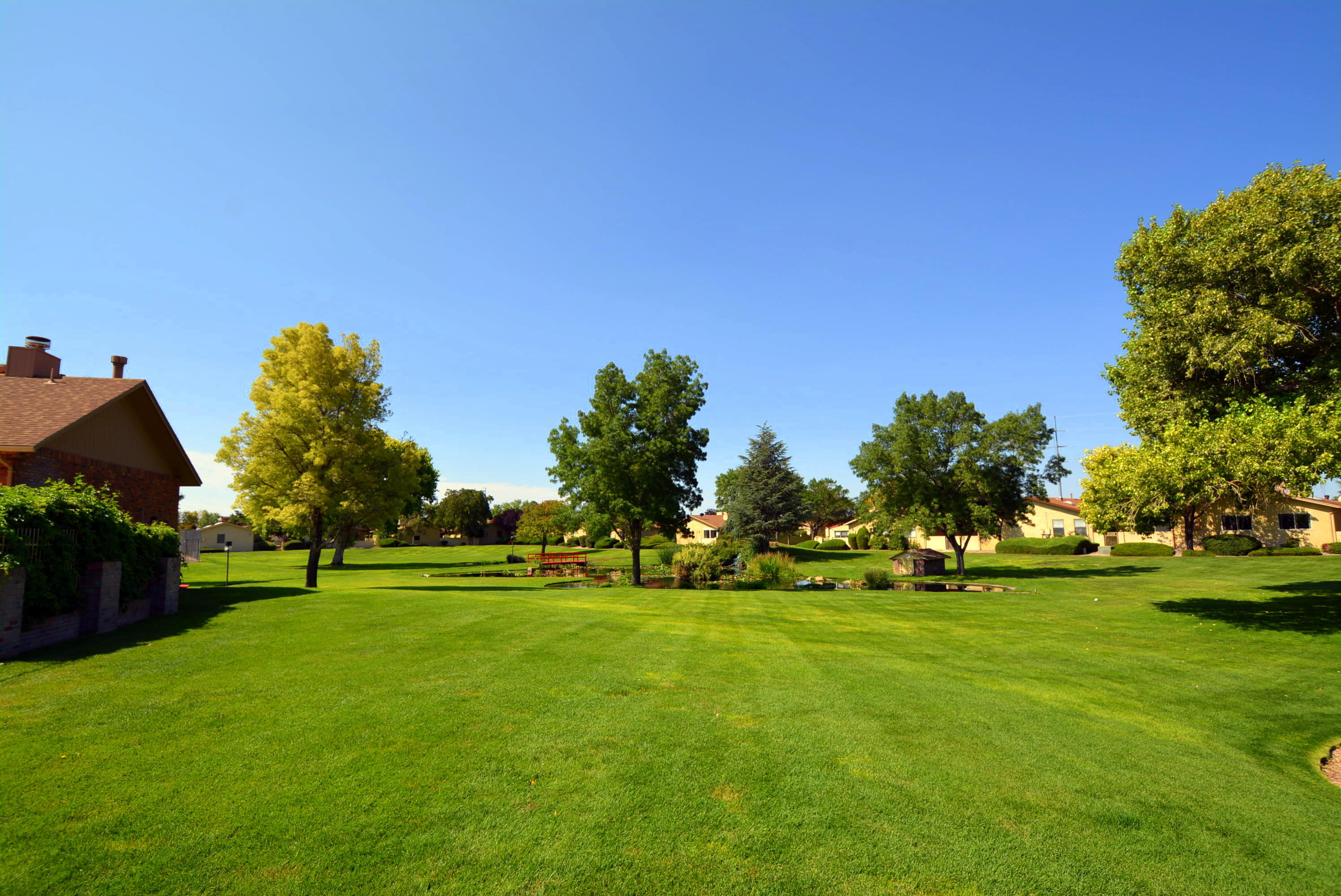 Photo 3 — 10709 Clyburn Park Drive NE