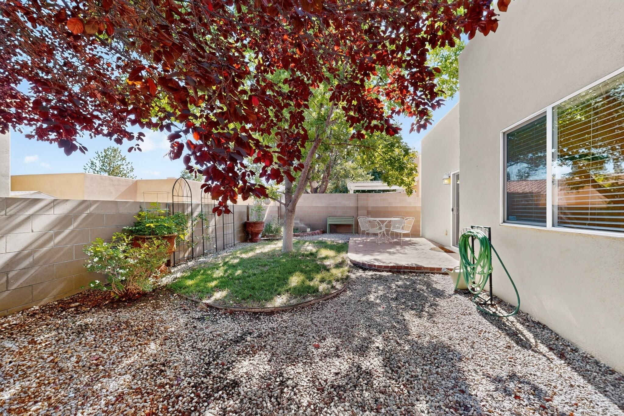 Photo 2 — 1415 Trail Wind Road NE