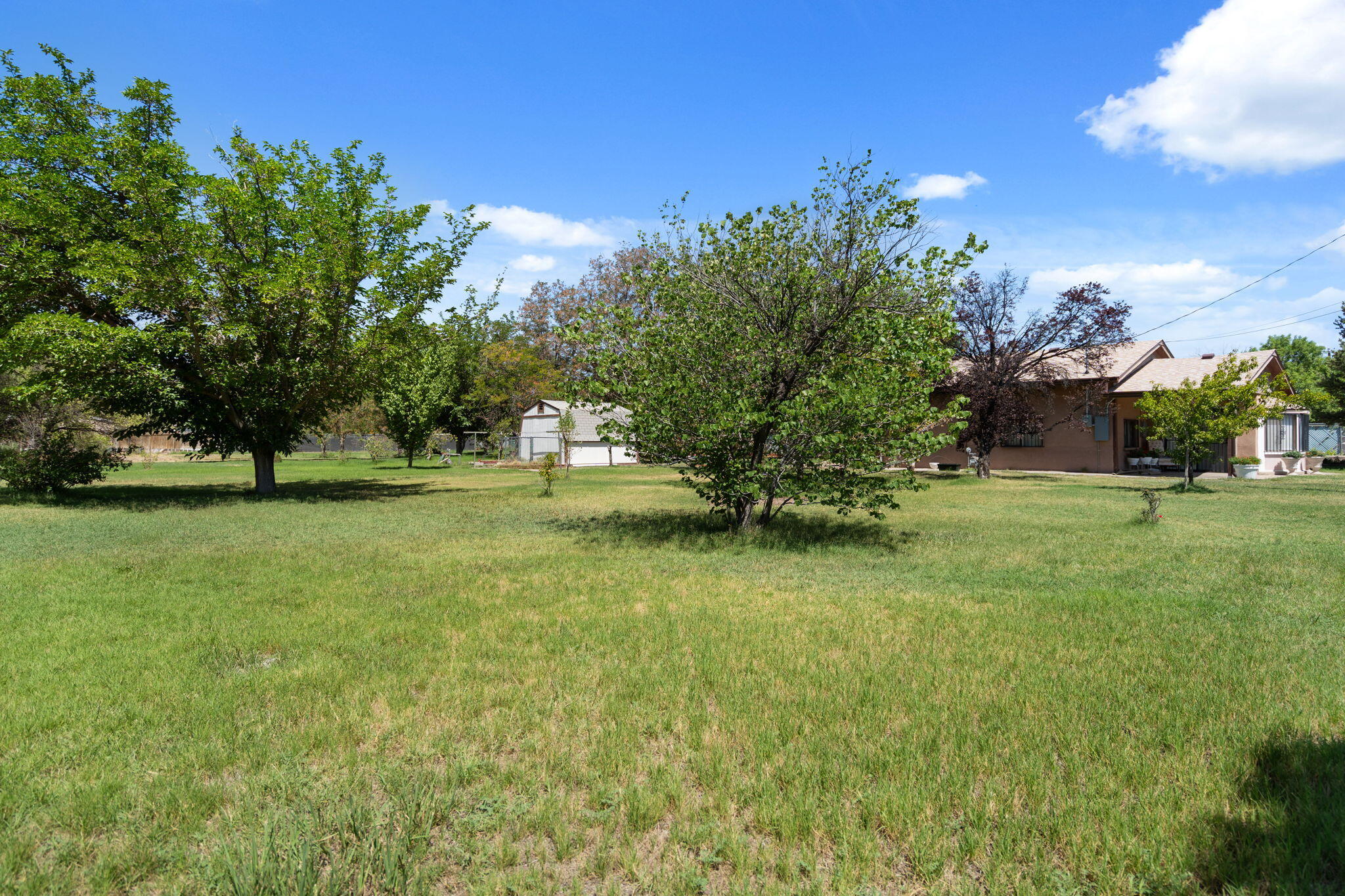 Photo 3 — 1629 Severo Road SW