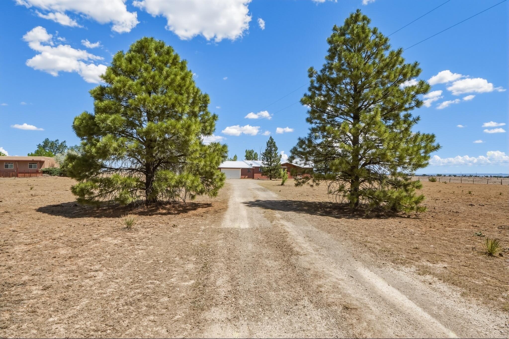 Photo 3 — 155 Rabbit Run Court