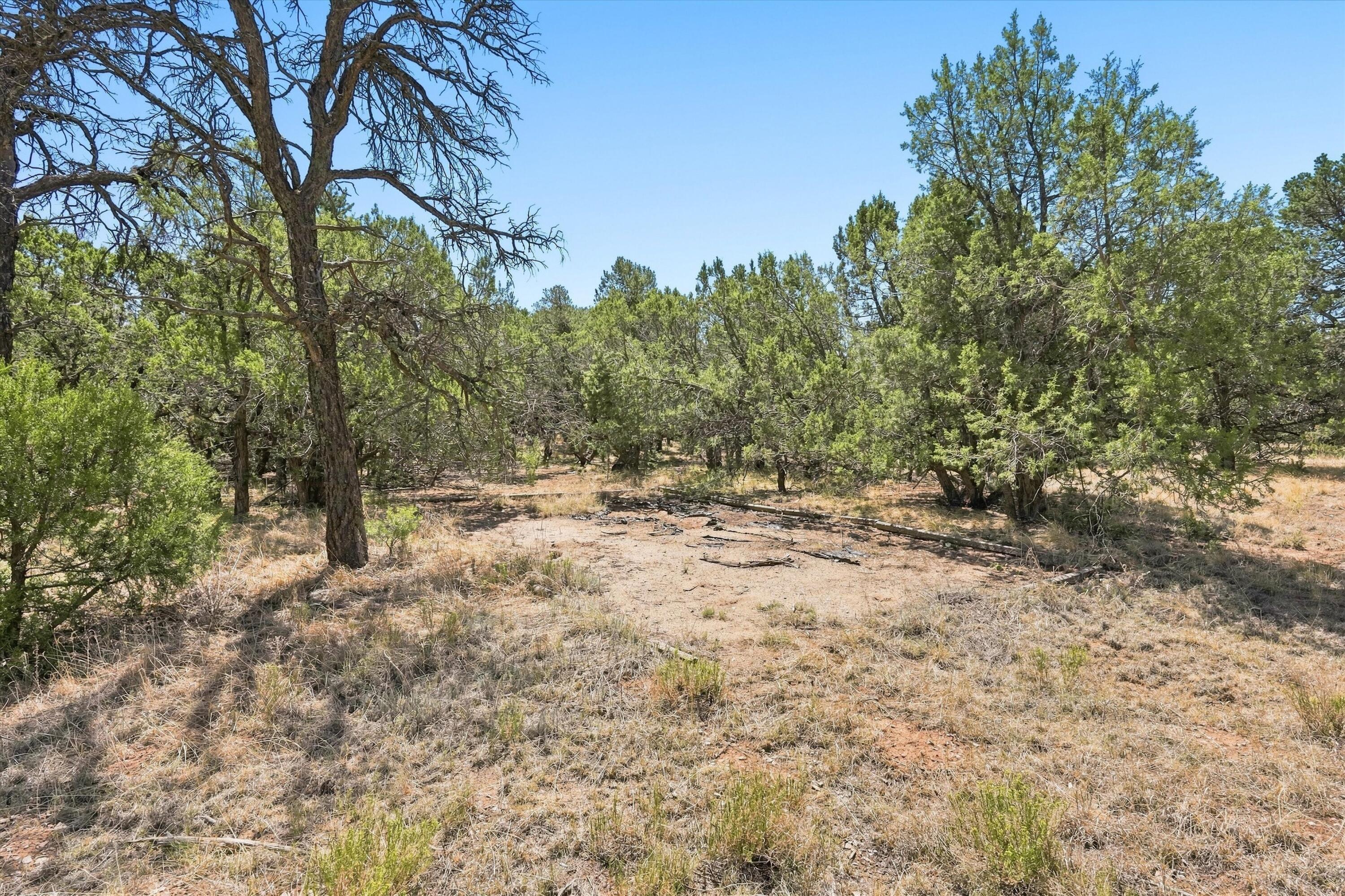 Photo 8 — 464 Sedillo Road