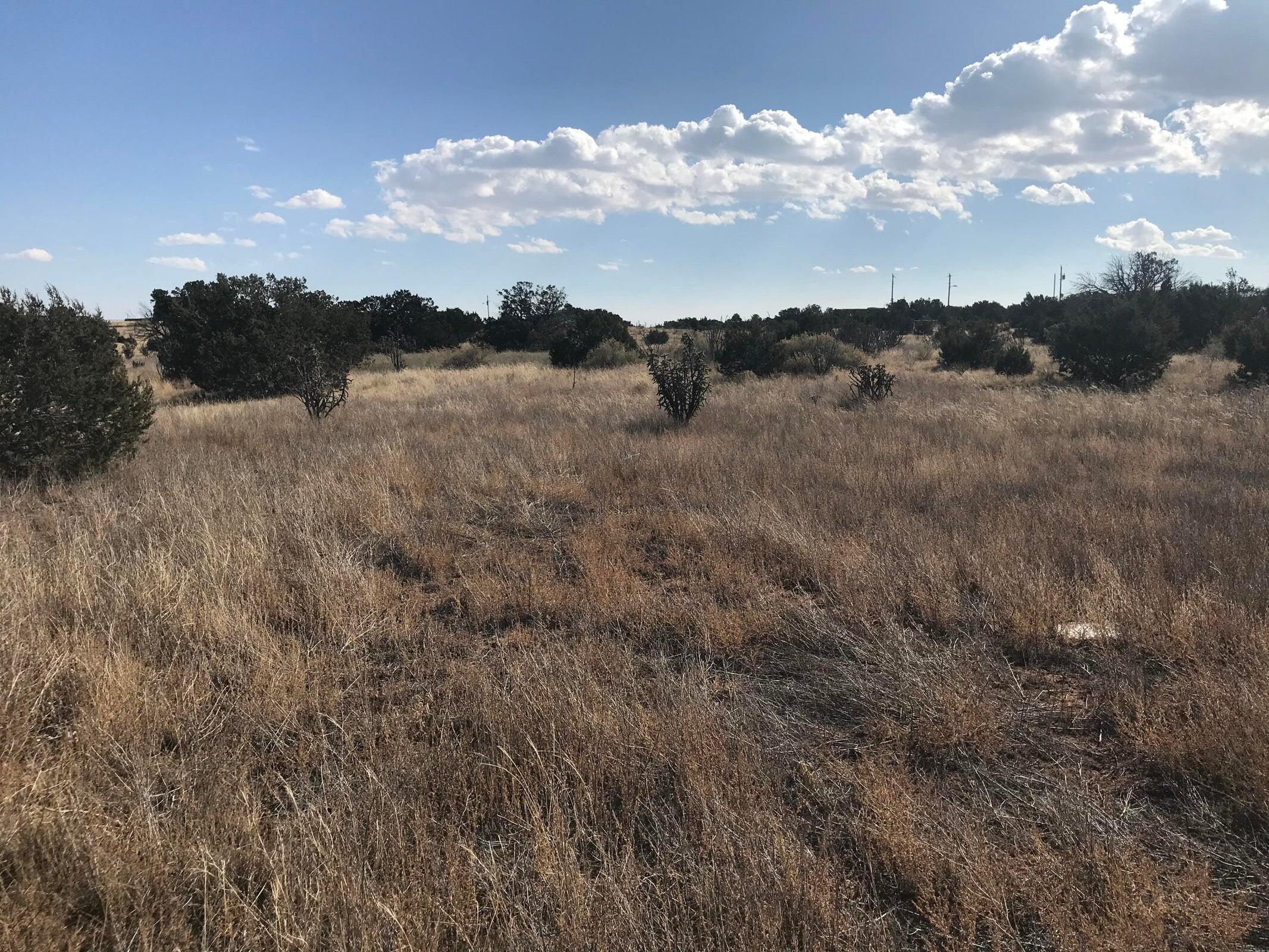 Photo 7 — TBD Indian Hills Road