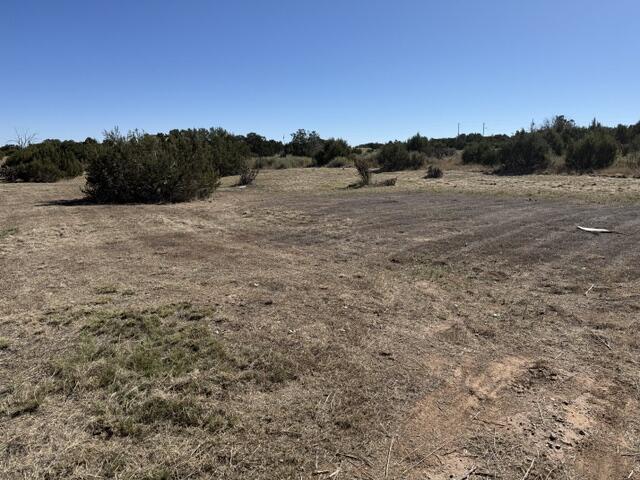 Photo 4 — TBD Indian Hills Road