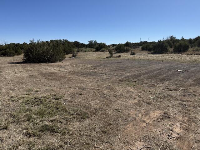 Photo 2 — TBD Indian Hills Road