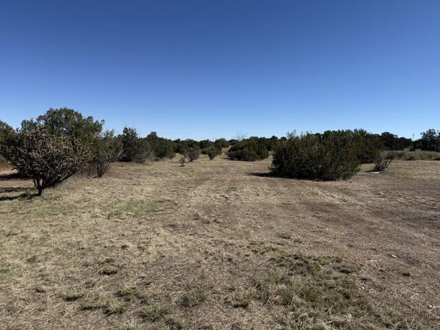 Photo 3 — TBD Indian Hills Road