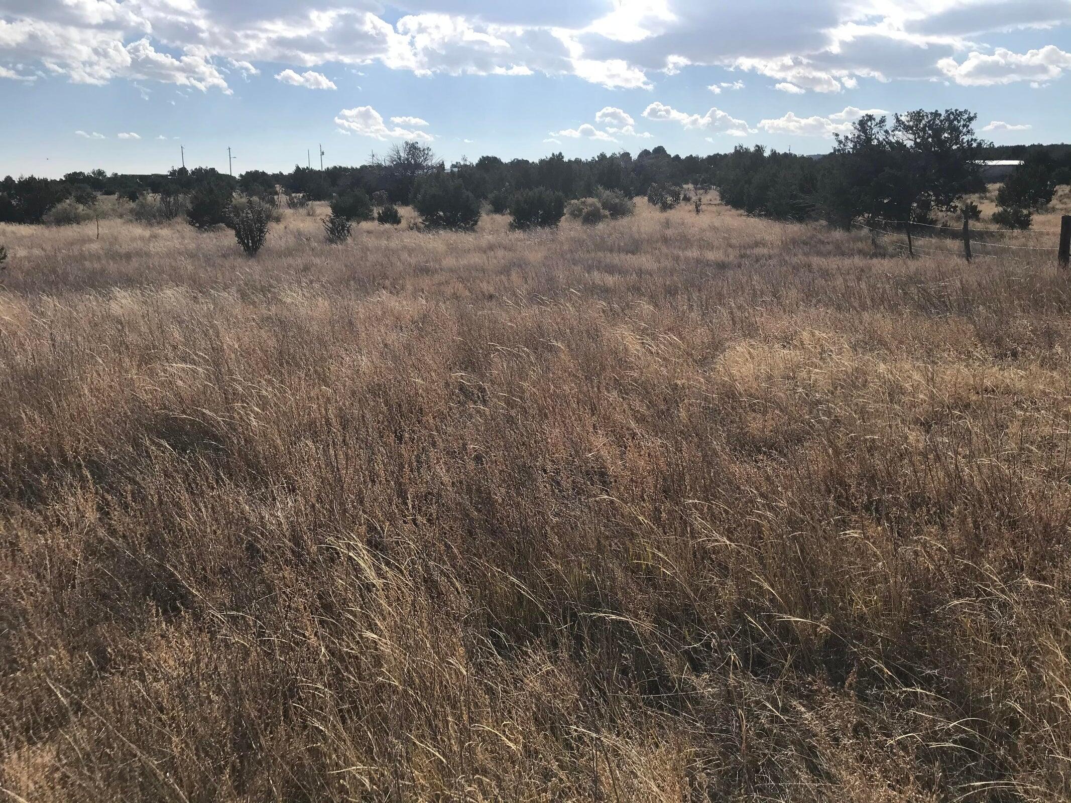 Photo 4 — TBD Indian Hills Road